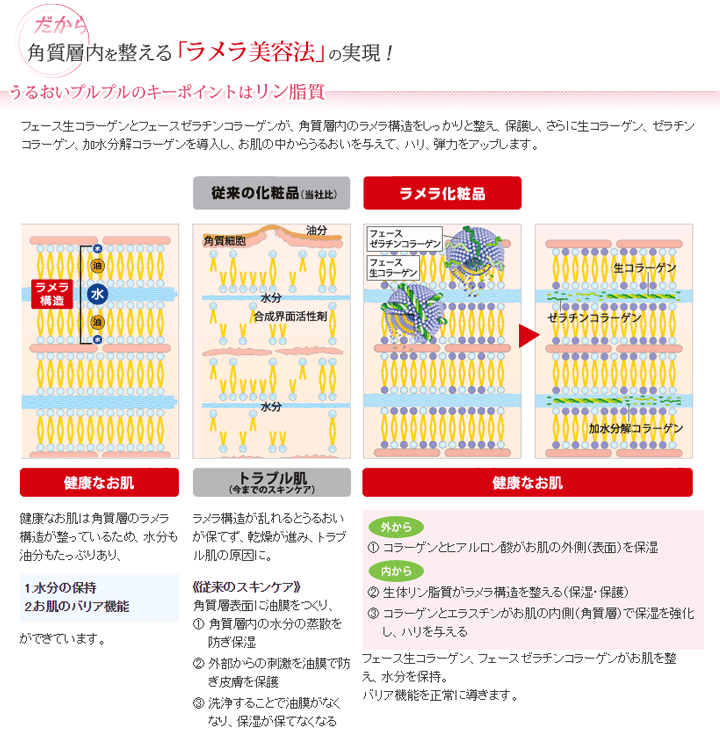生コラーゲンコース｜上田でエステサロンをお探しなら Leeにお越し