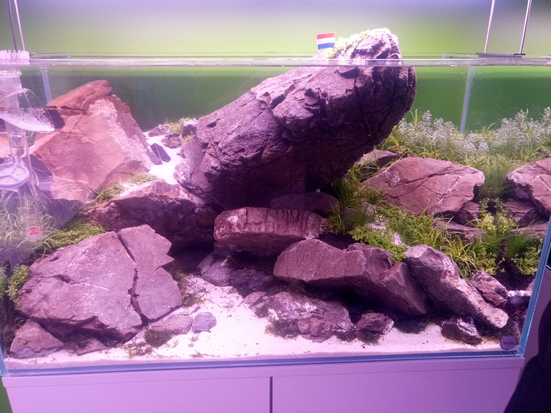 Aquascape voorbeeld