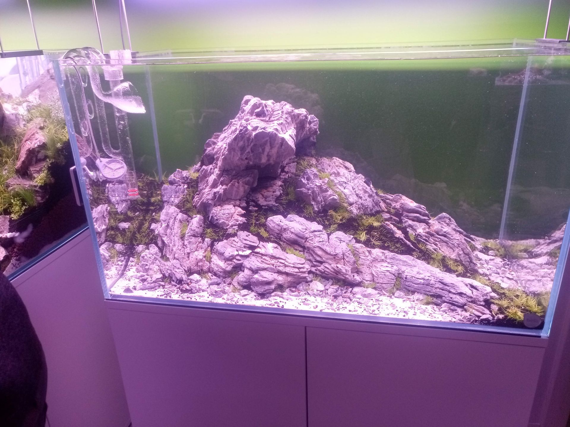 Aquascape voorbeeld