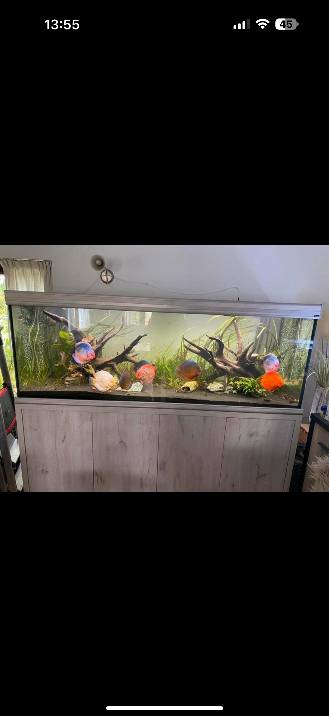 Aquarium inrichtingen naar wens