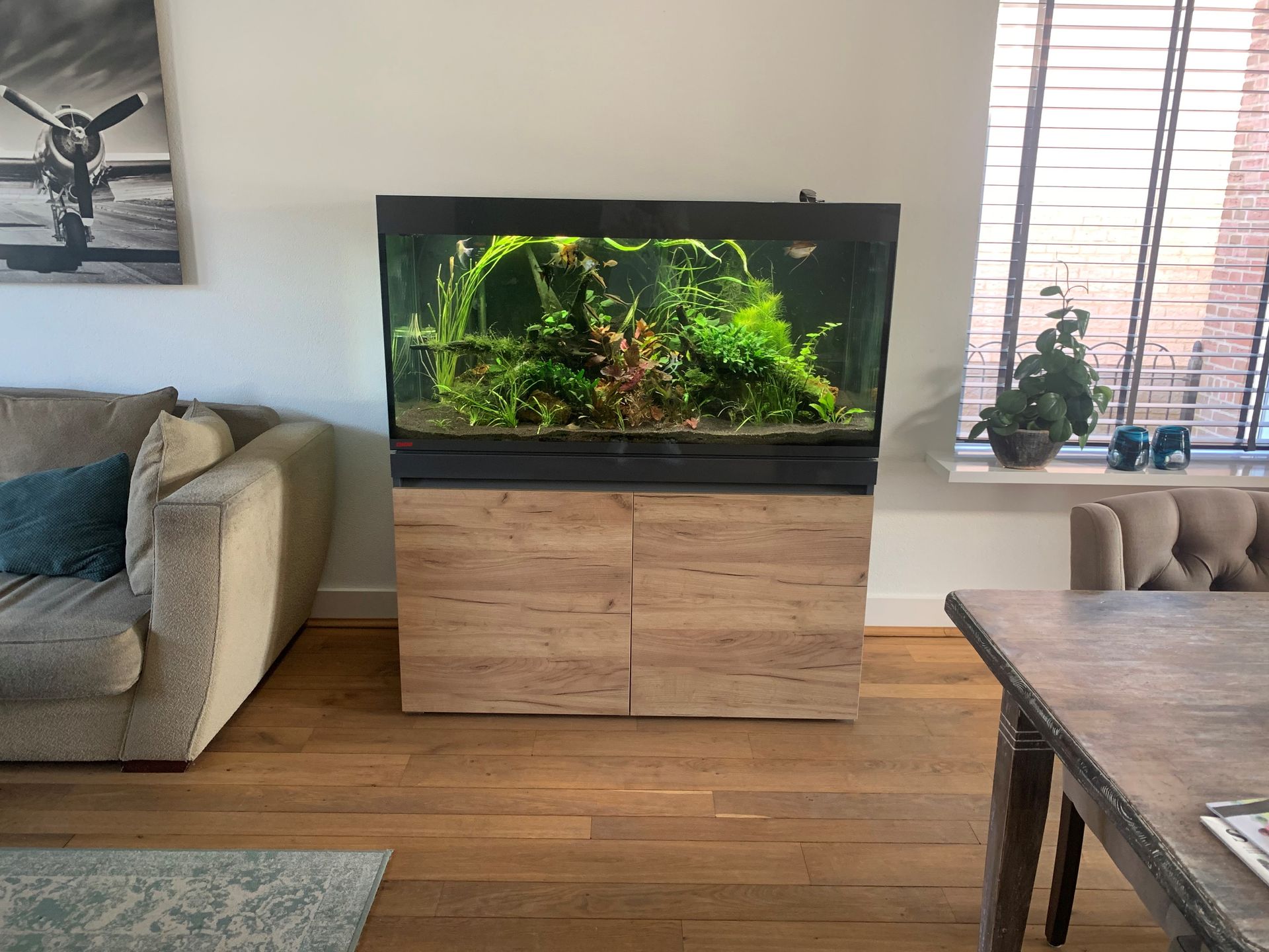 Aquarium inrichting laten doen