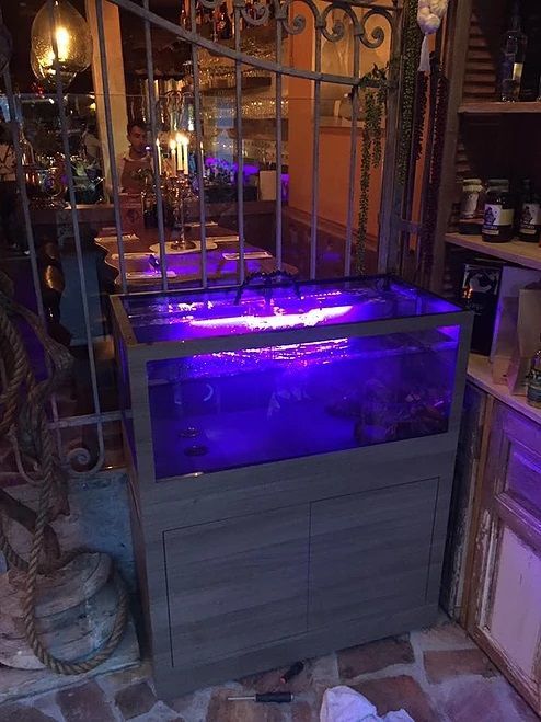 Homarium kreeftenbak verkoop onderhoud