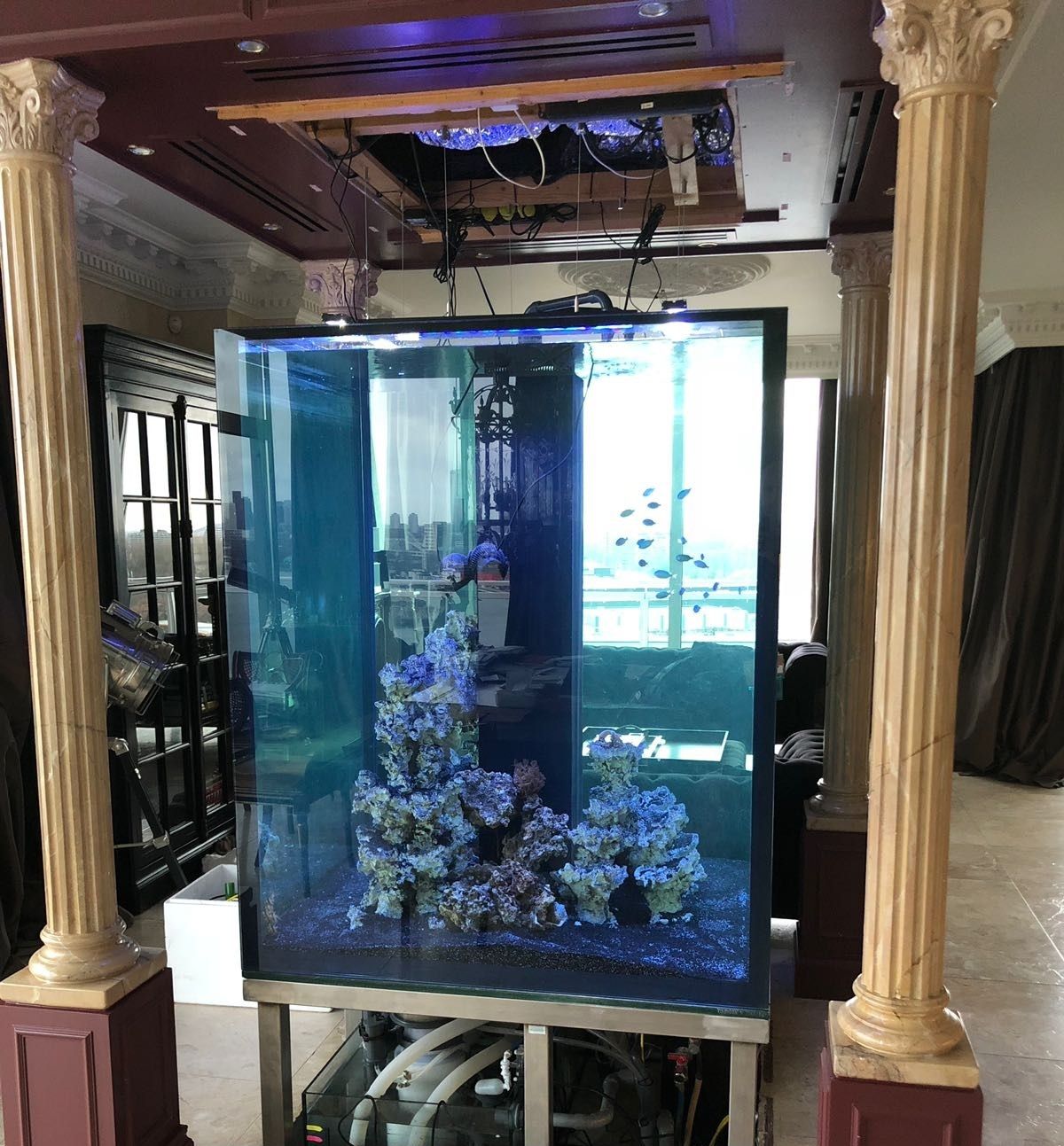 Groot hoog aquarium ter plaatse gebouwd met koraal en vissen, tussen de kolommen, onder het zichtbare plafond.