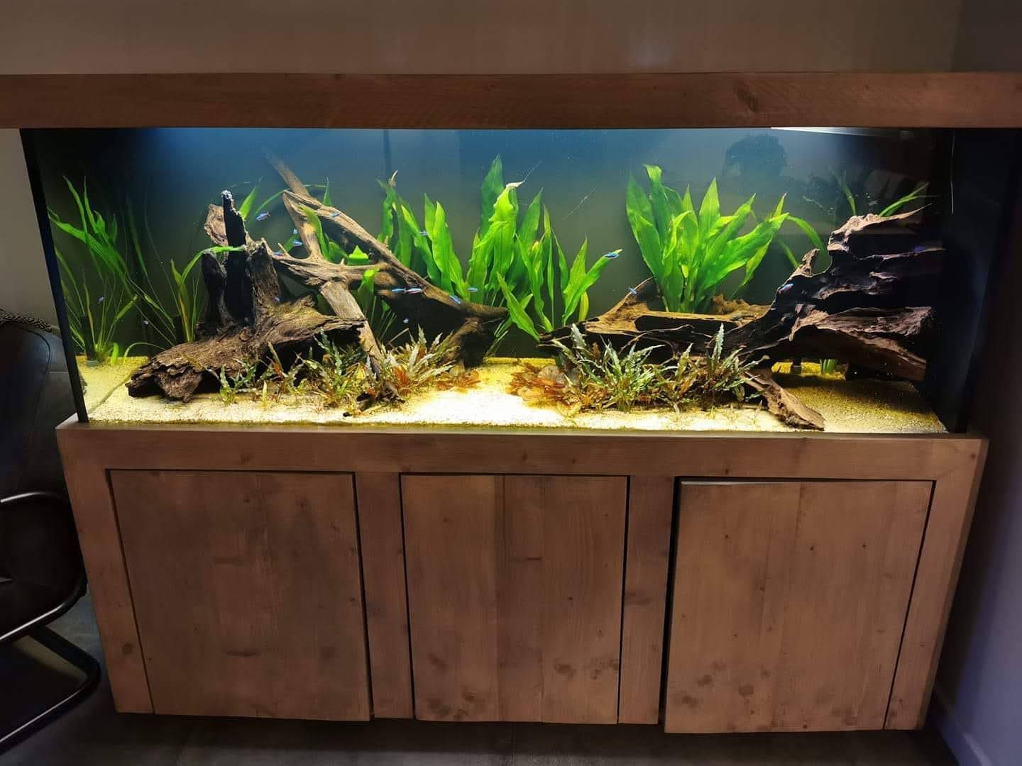 Aquarium laten onderhouden