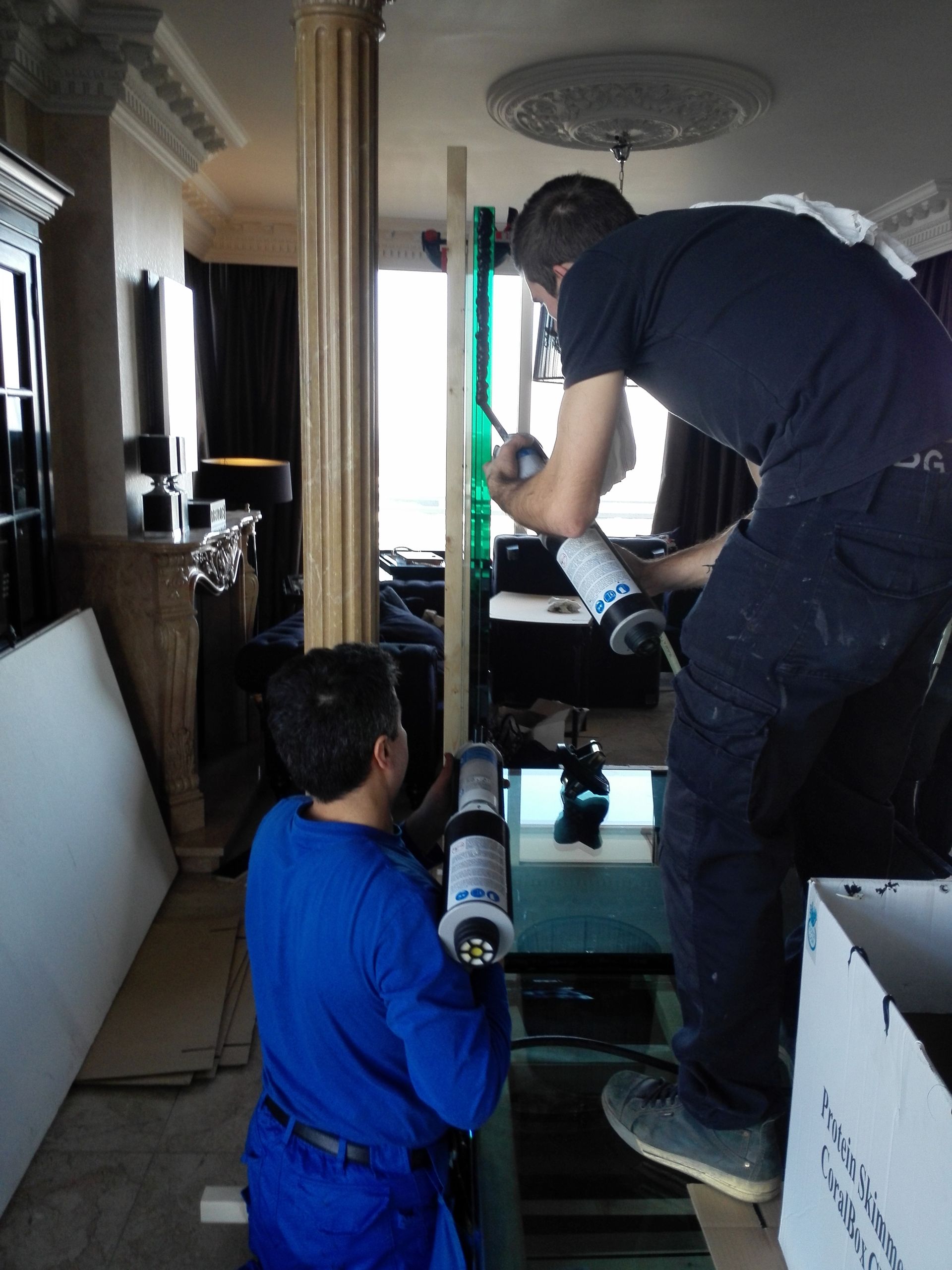 Professionele aquariumbouwer