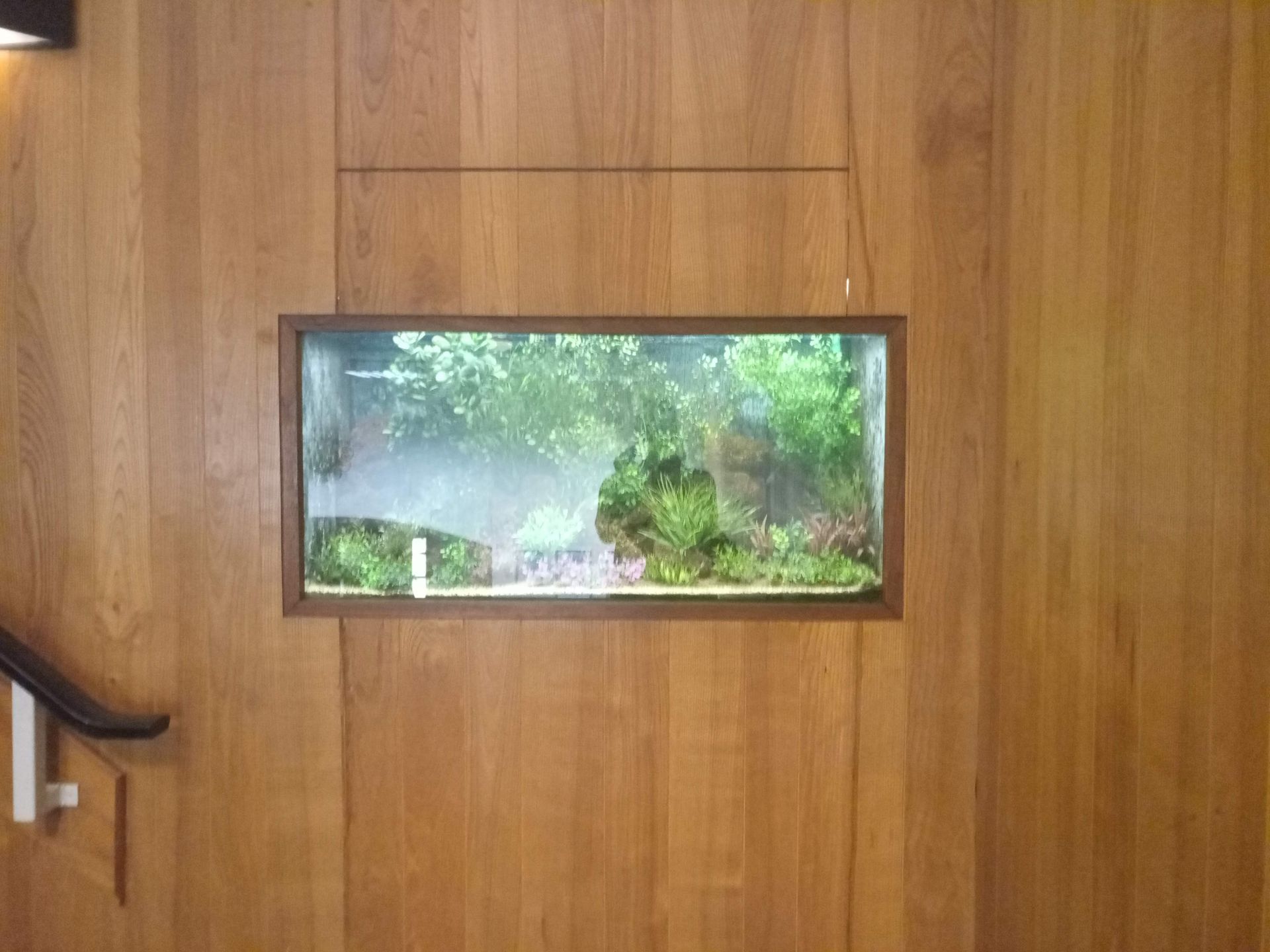 Aquarium in muur laten maken