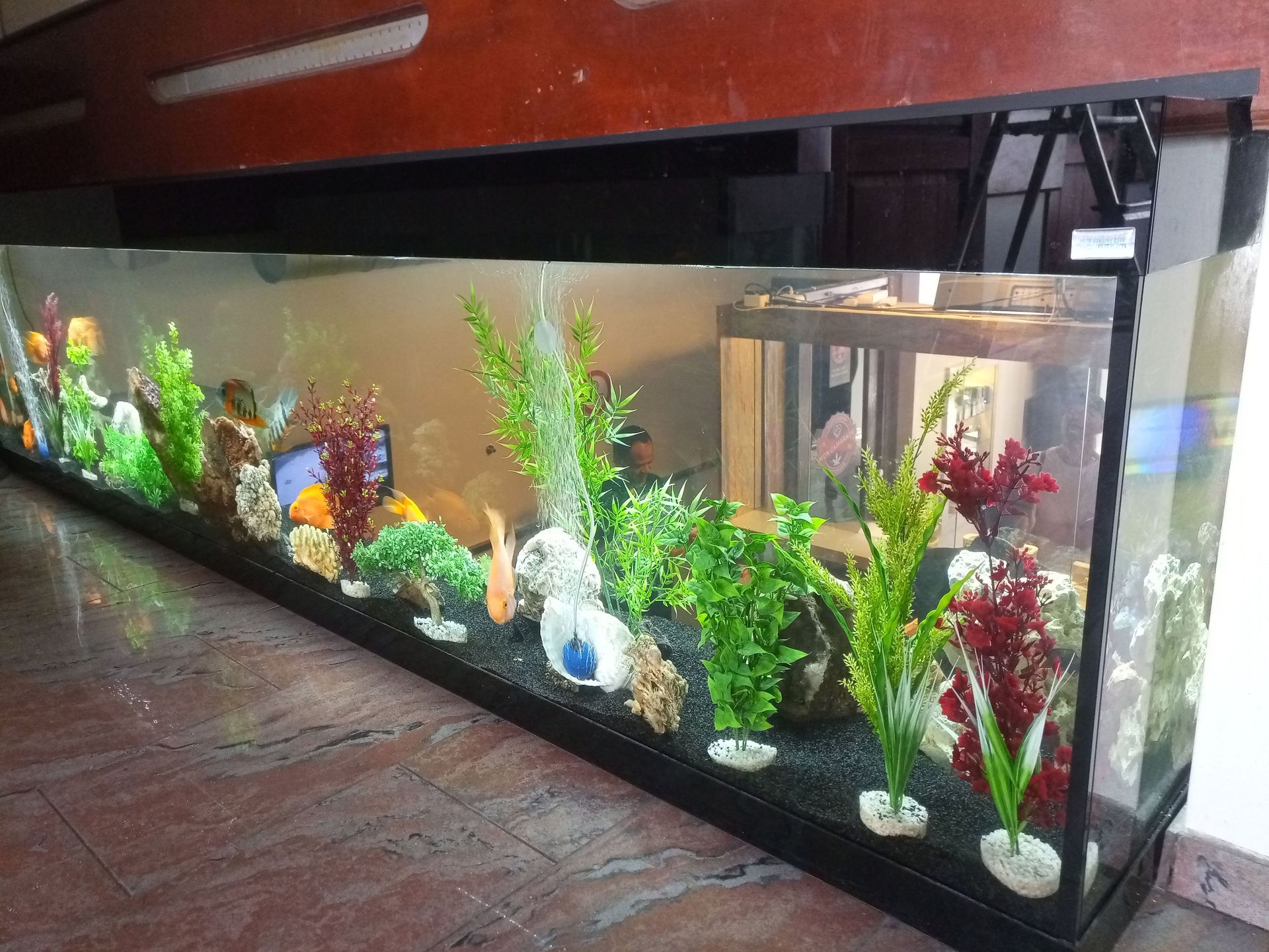 Aquarium op maat laten maken