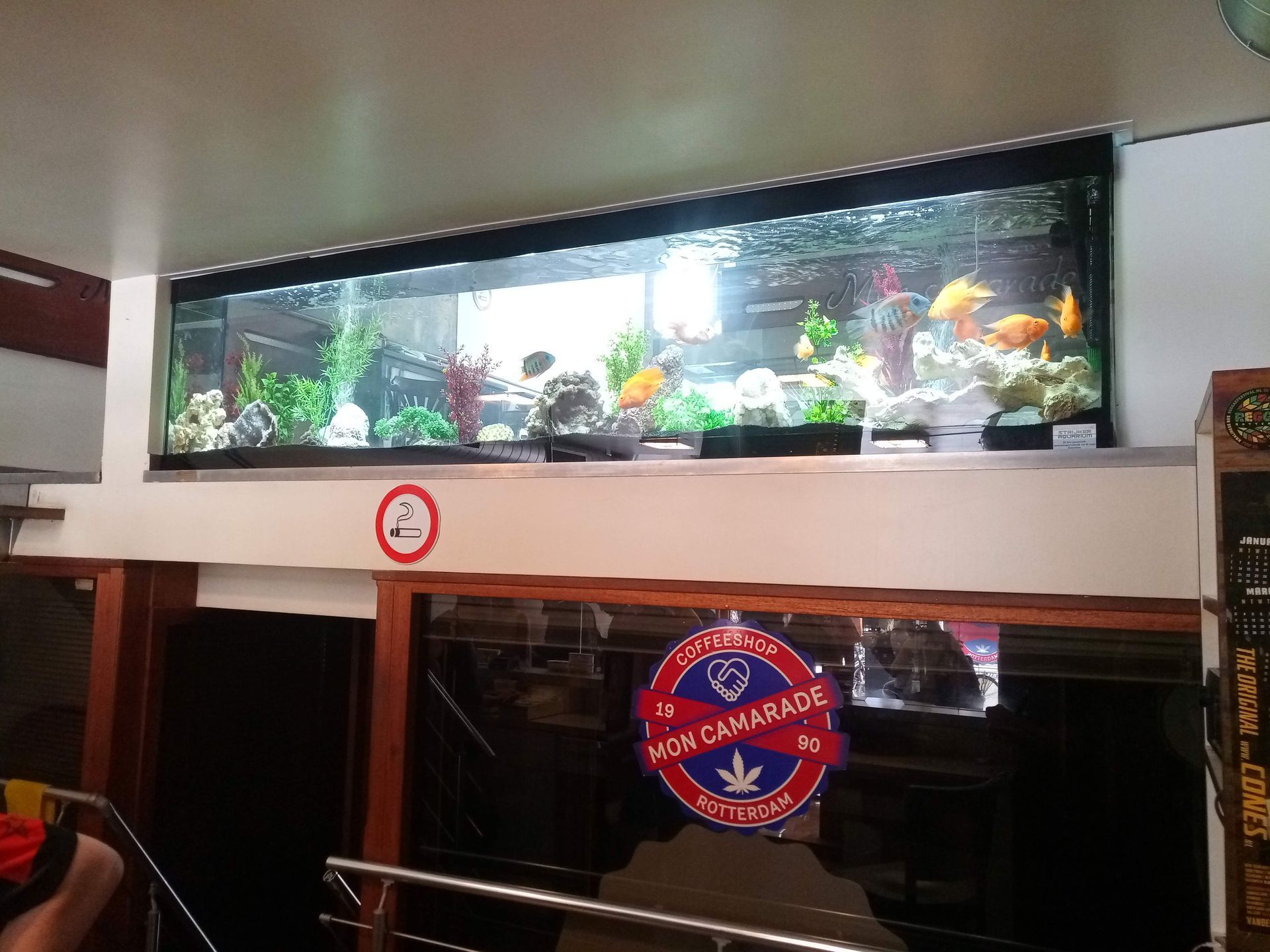 Aquarium in horeca laten plaatsen