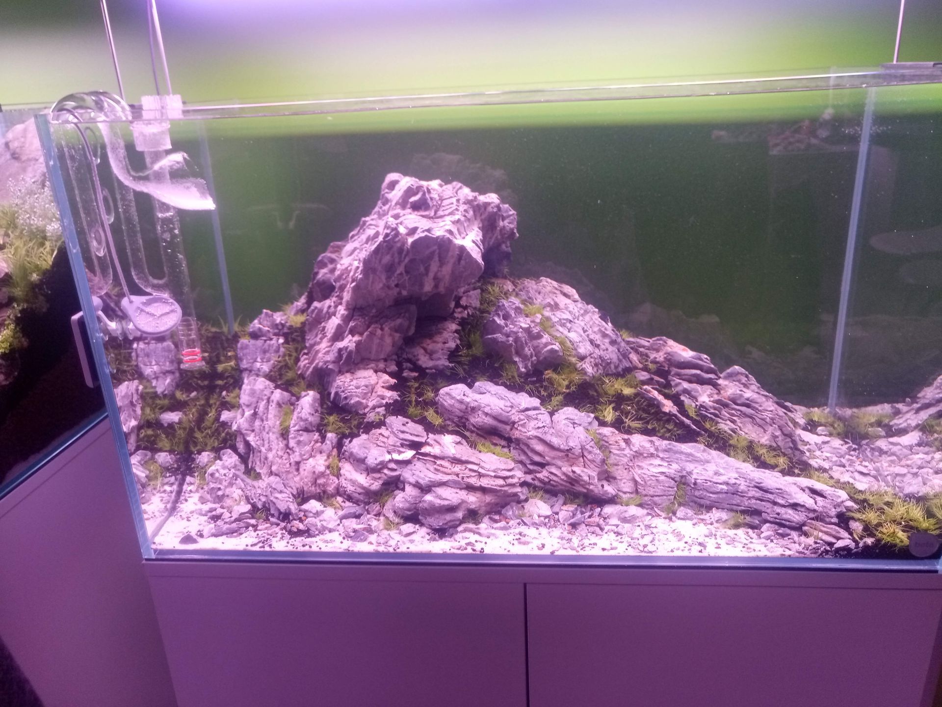 Aquarium inrichting met rotsen