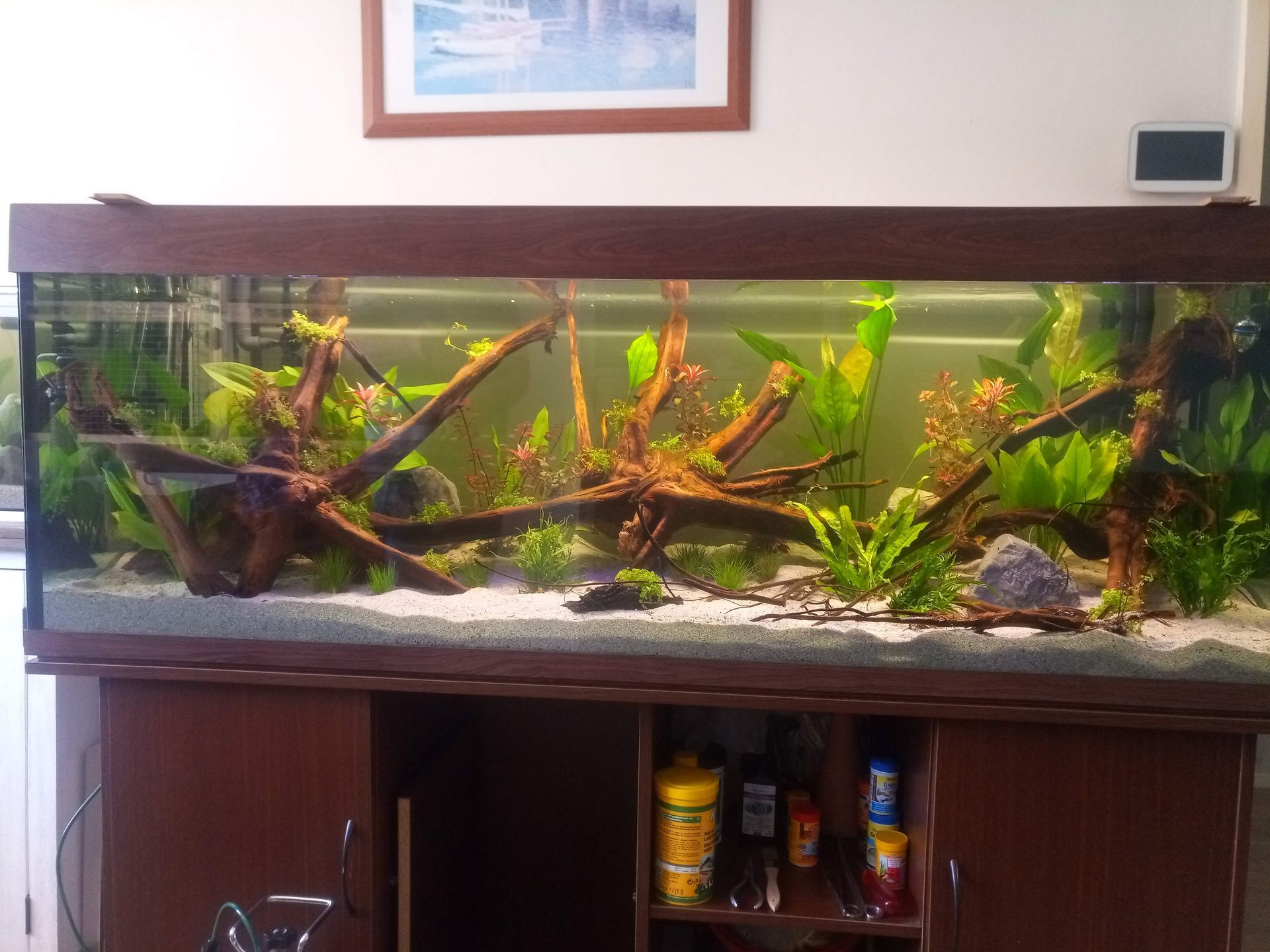 Aquariumonderhoud laten doen