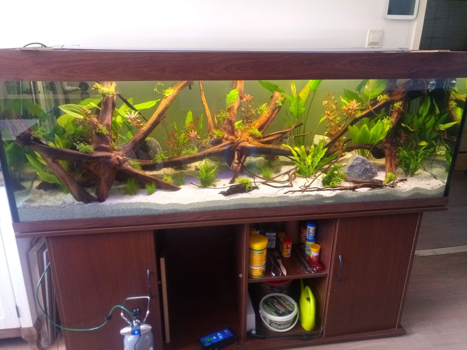 Aquarium opnieuw laten opzetten