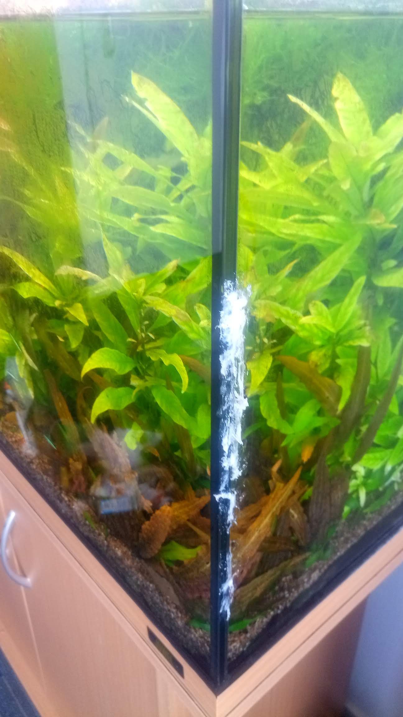 Aquarium kitnaad lekt