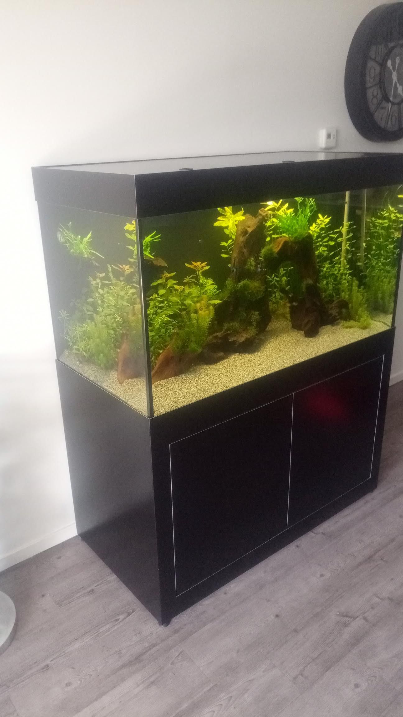 Aquarium onderhoud thuis