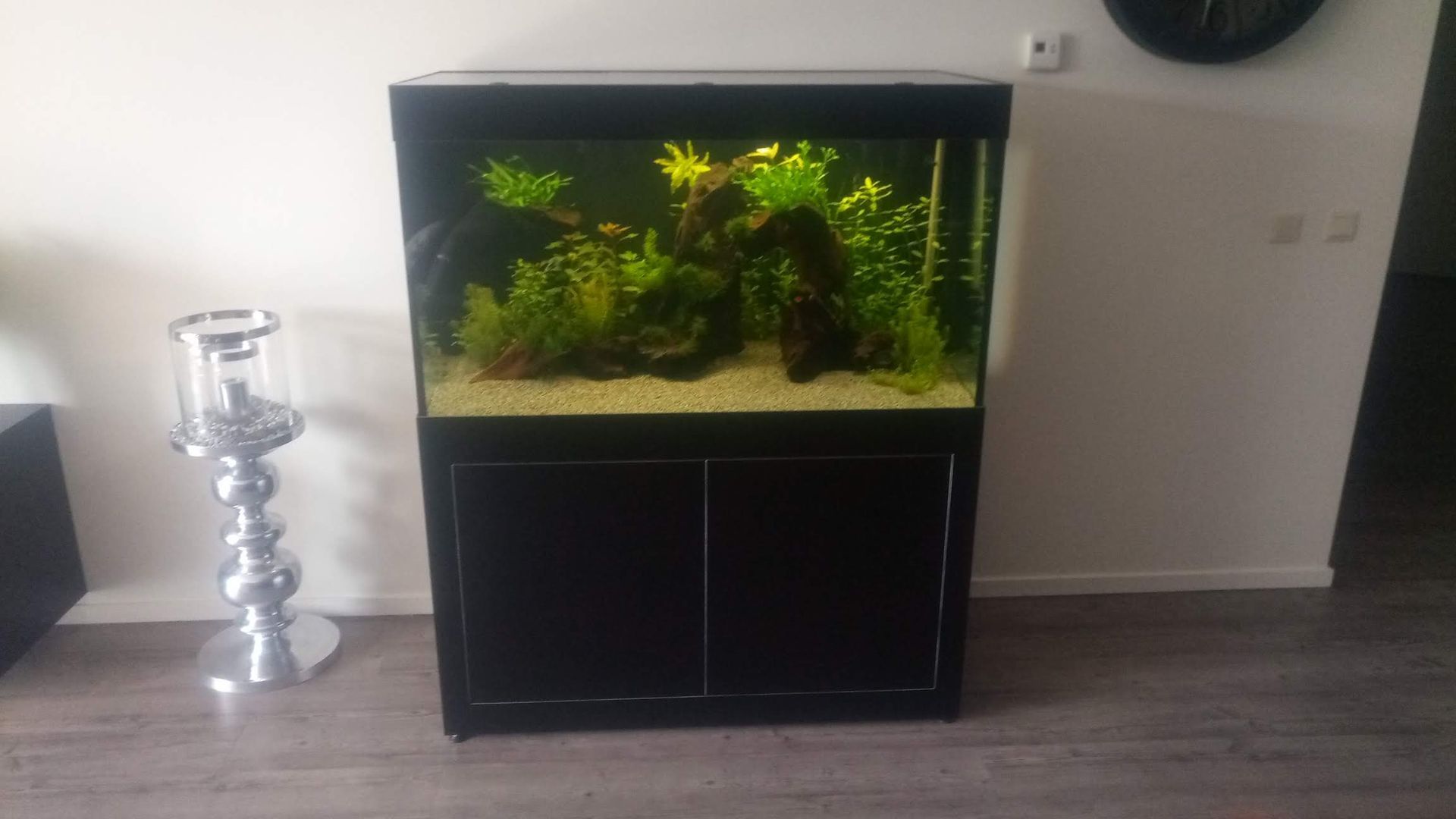 Aquarium onderhoudsbedrijf