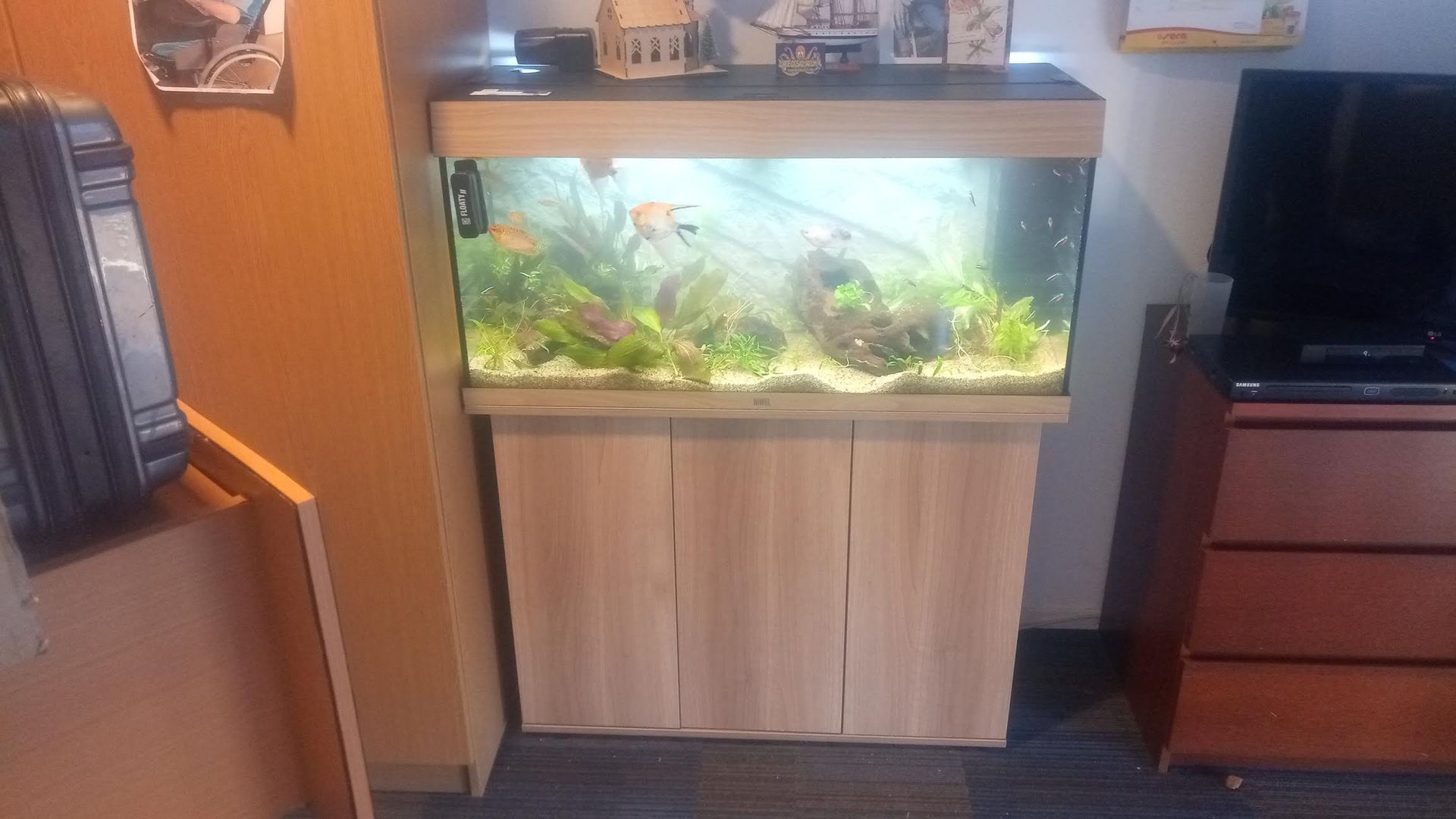 Aquariumonderhoud begeleid wonen