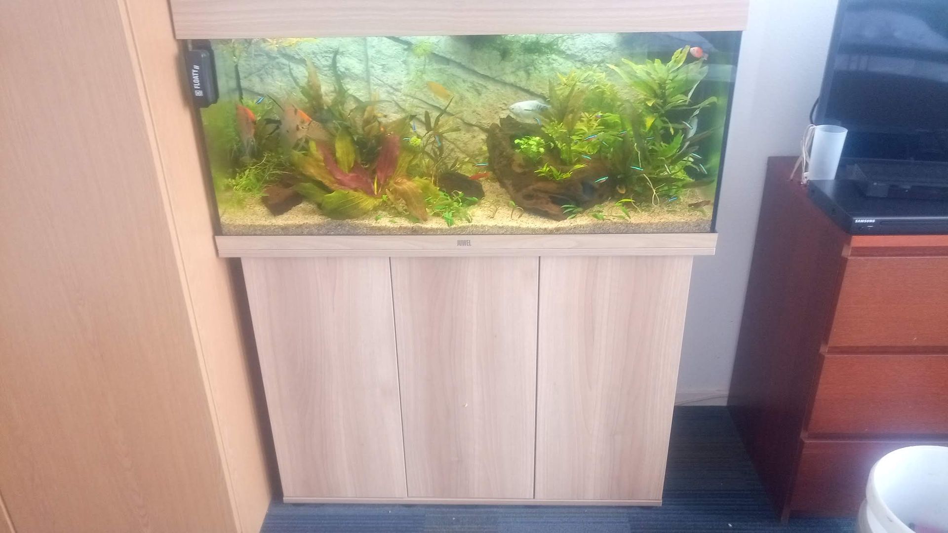 Aquarium bij zorginstelling laten onderhouden