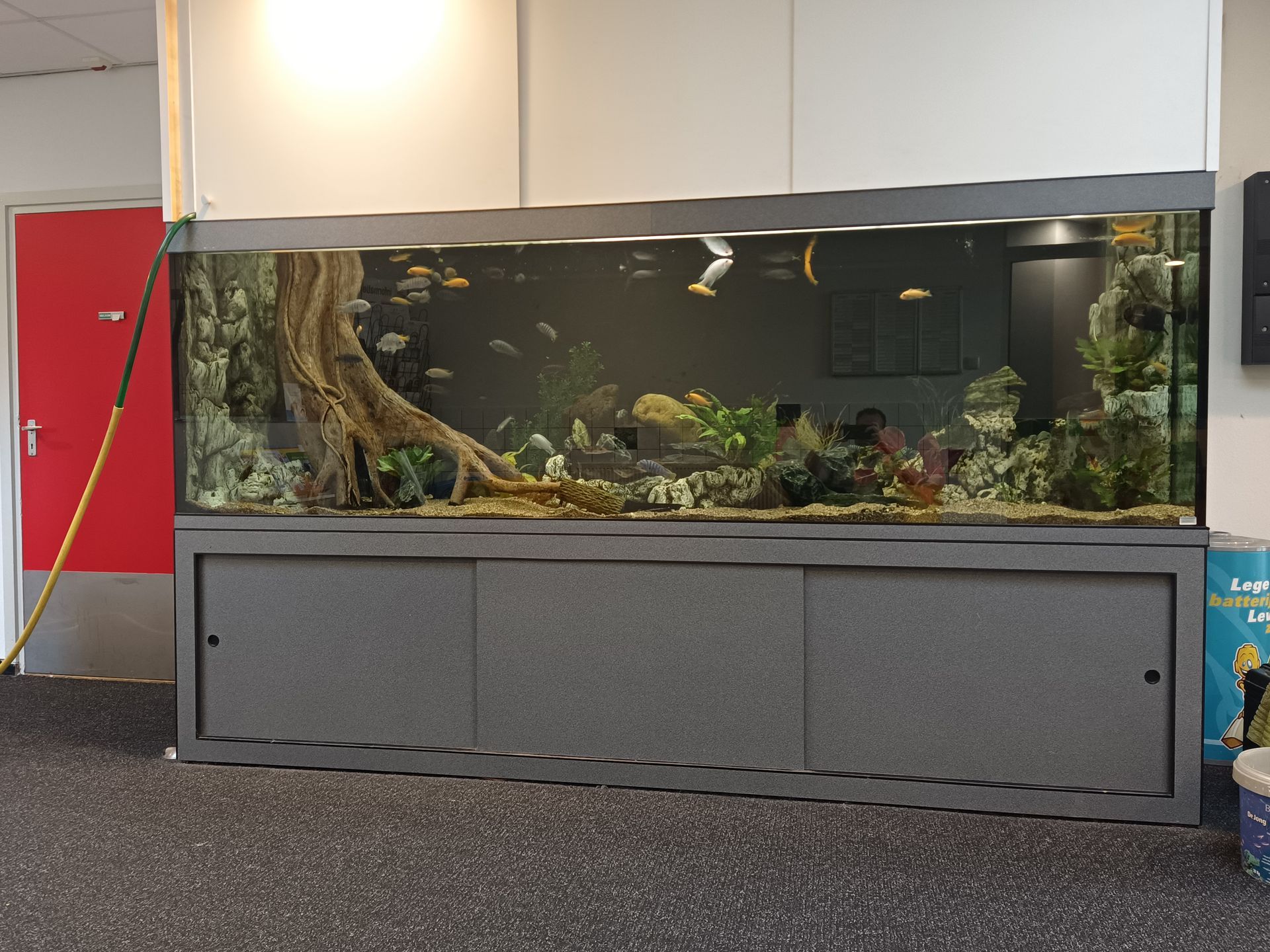 Aquarium in school laten onderhouden