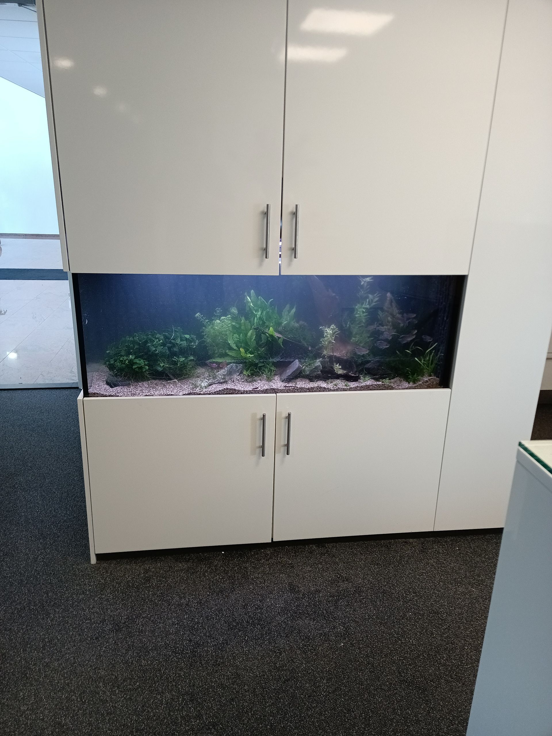 Aquarium op maat in kast laten maken