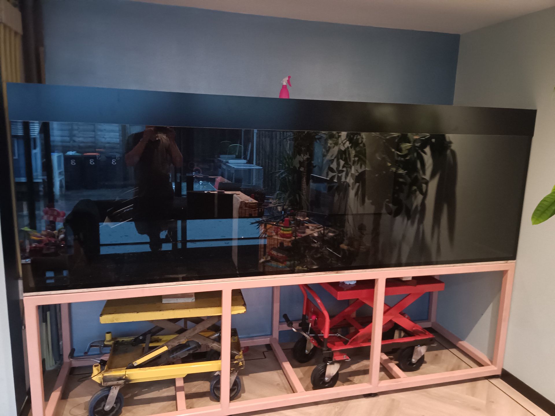 Aquarium laten verhuizen