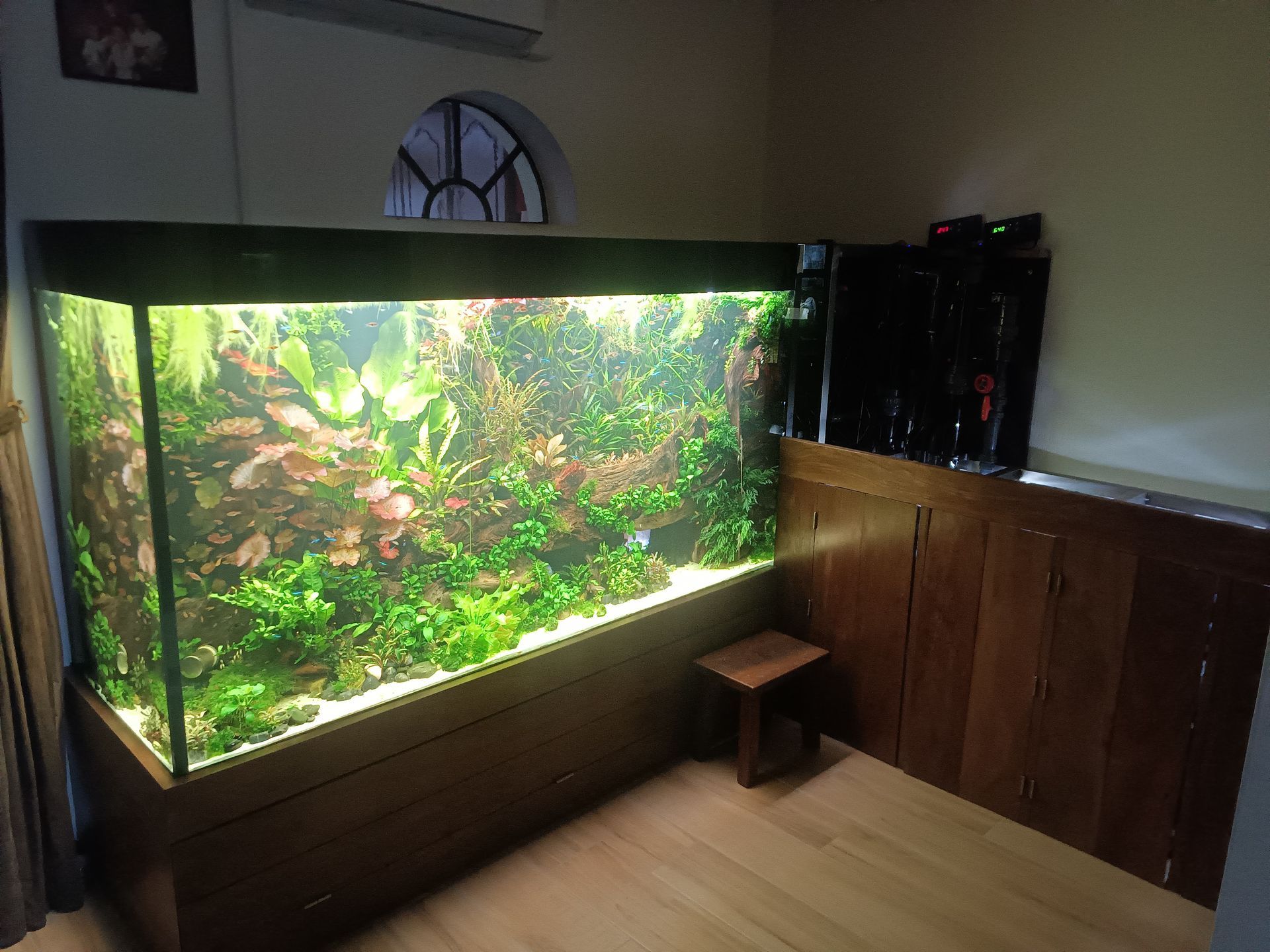 Aquascape op maat