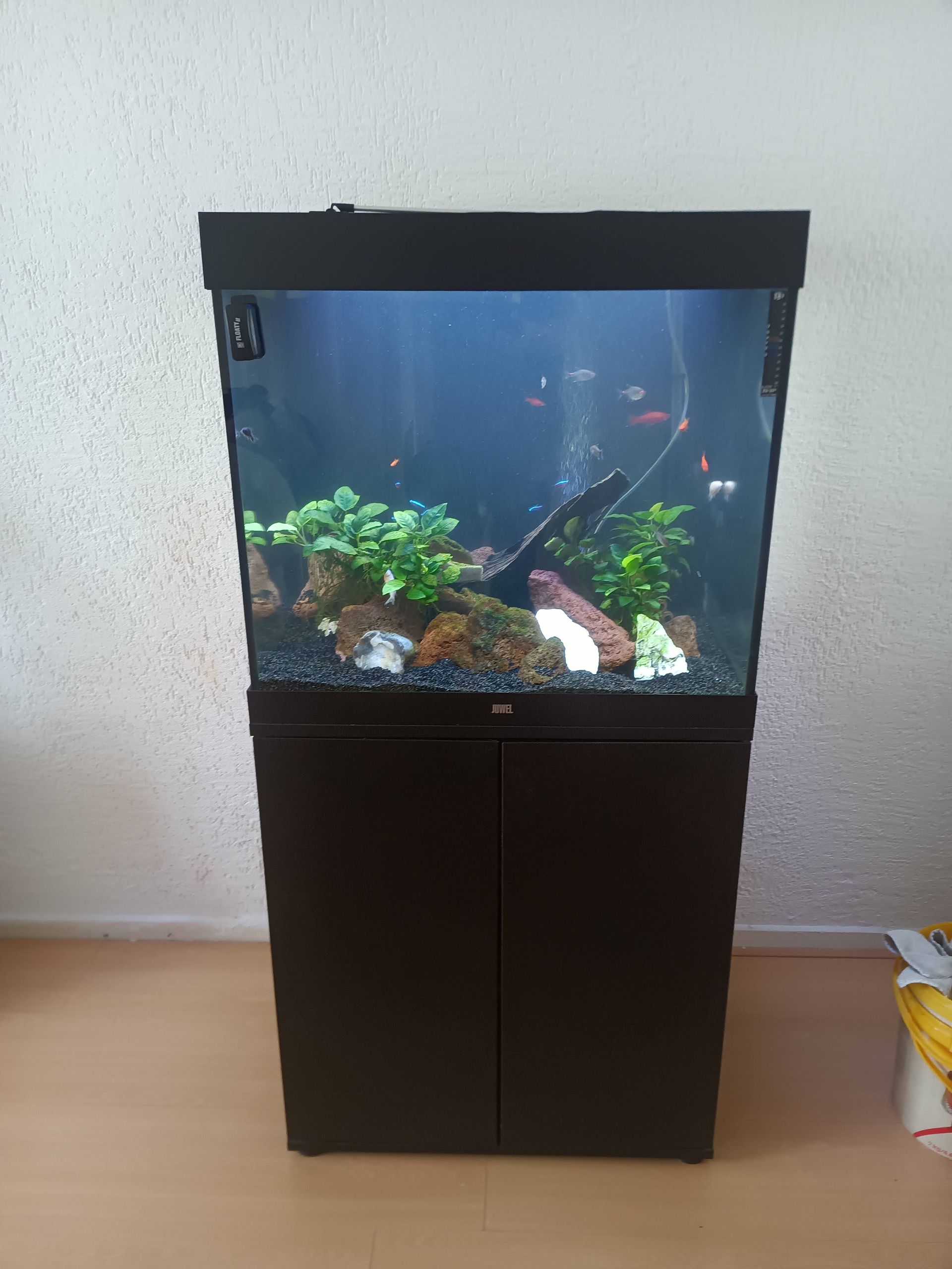 Aquarium laten herinrichten