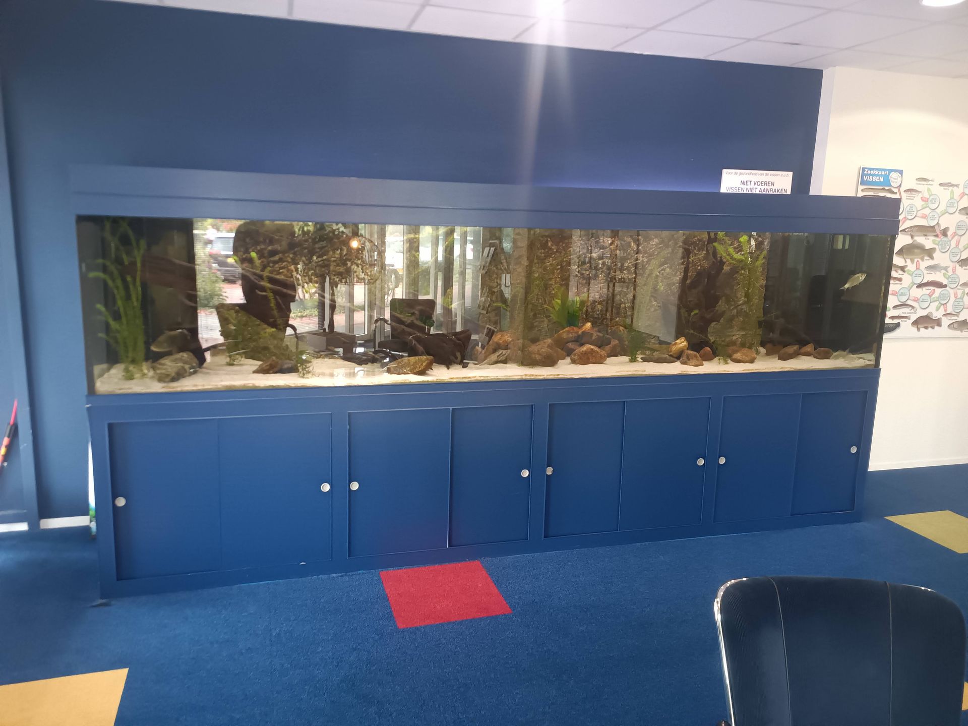 Aquarium kantoorgebouw laten onderhouden