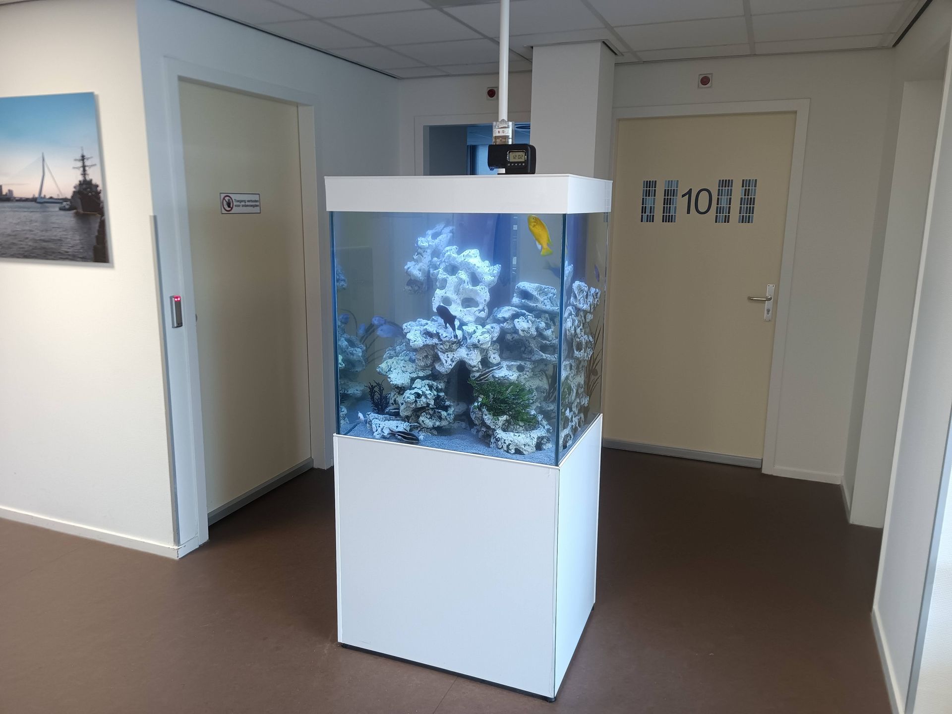 Aquariumonderhoud wachtruimte ziekenhuis