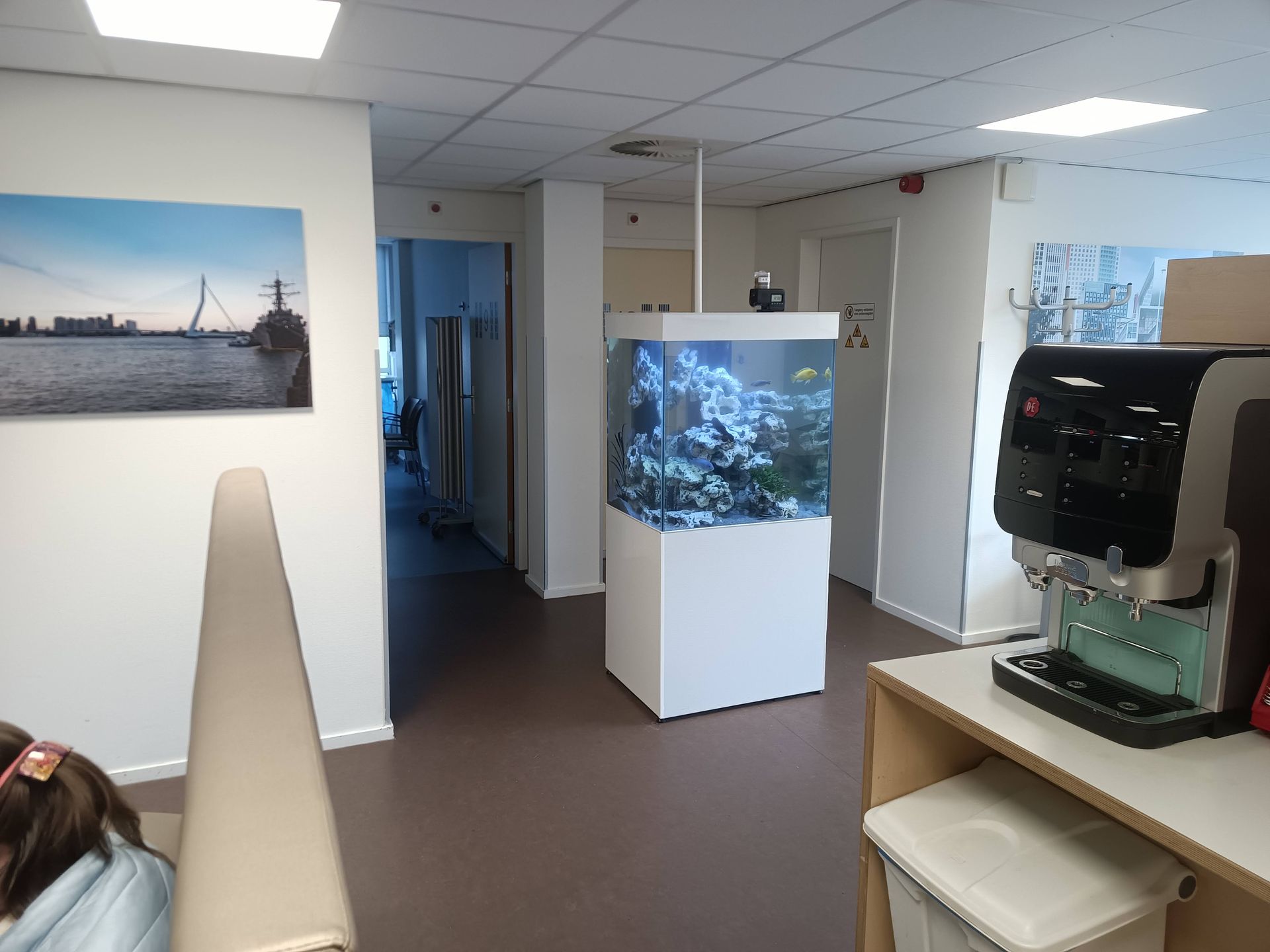 Aquarium in ontvangstruimte laten onderhouden