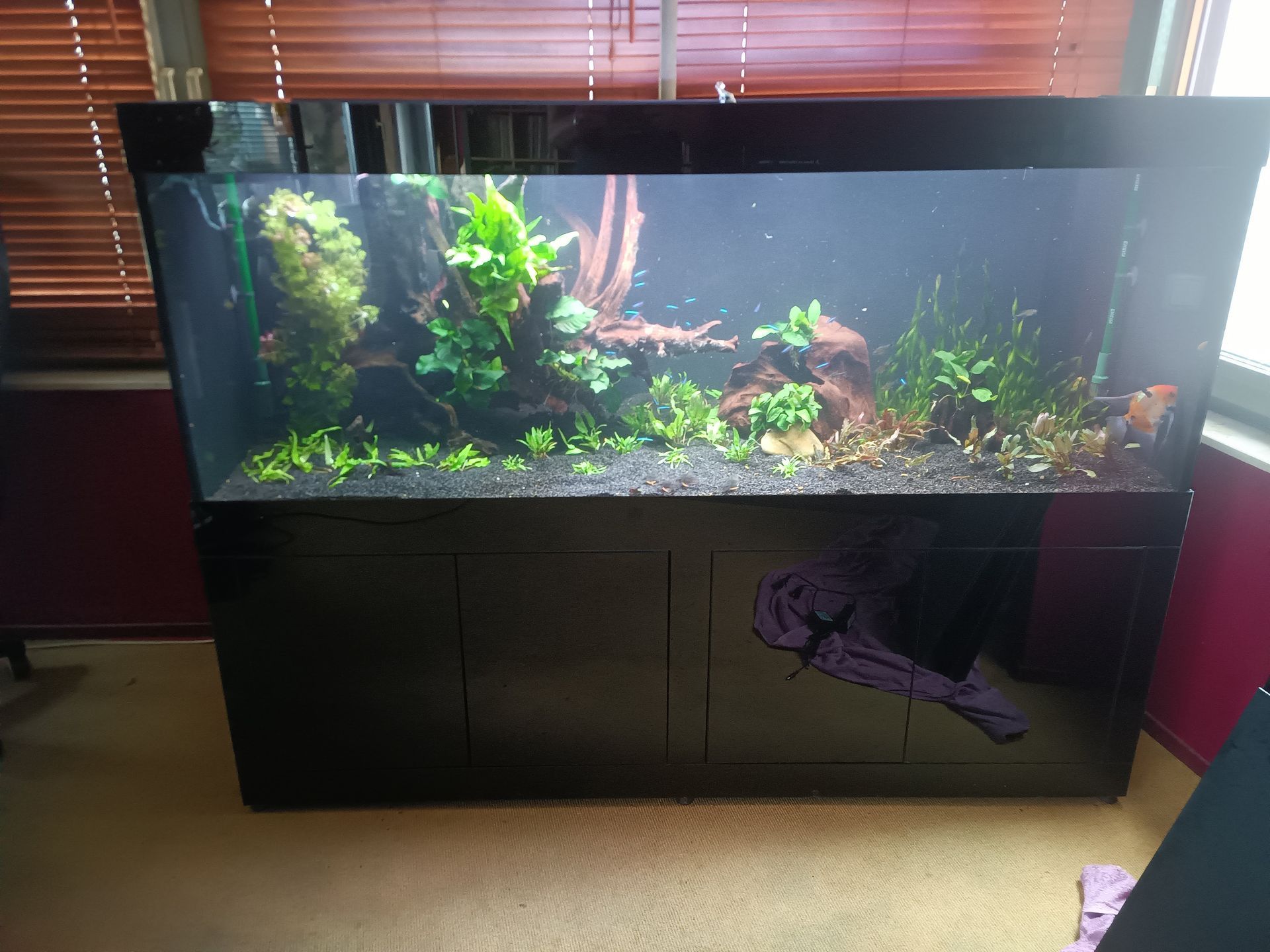 Aquarium laten plaatsen