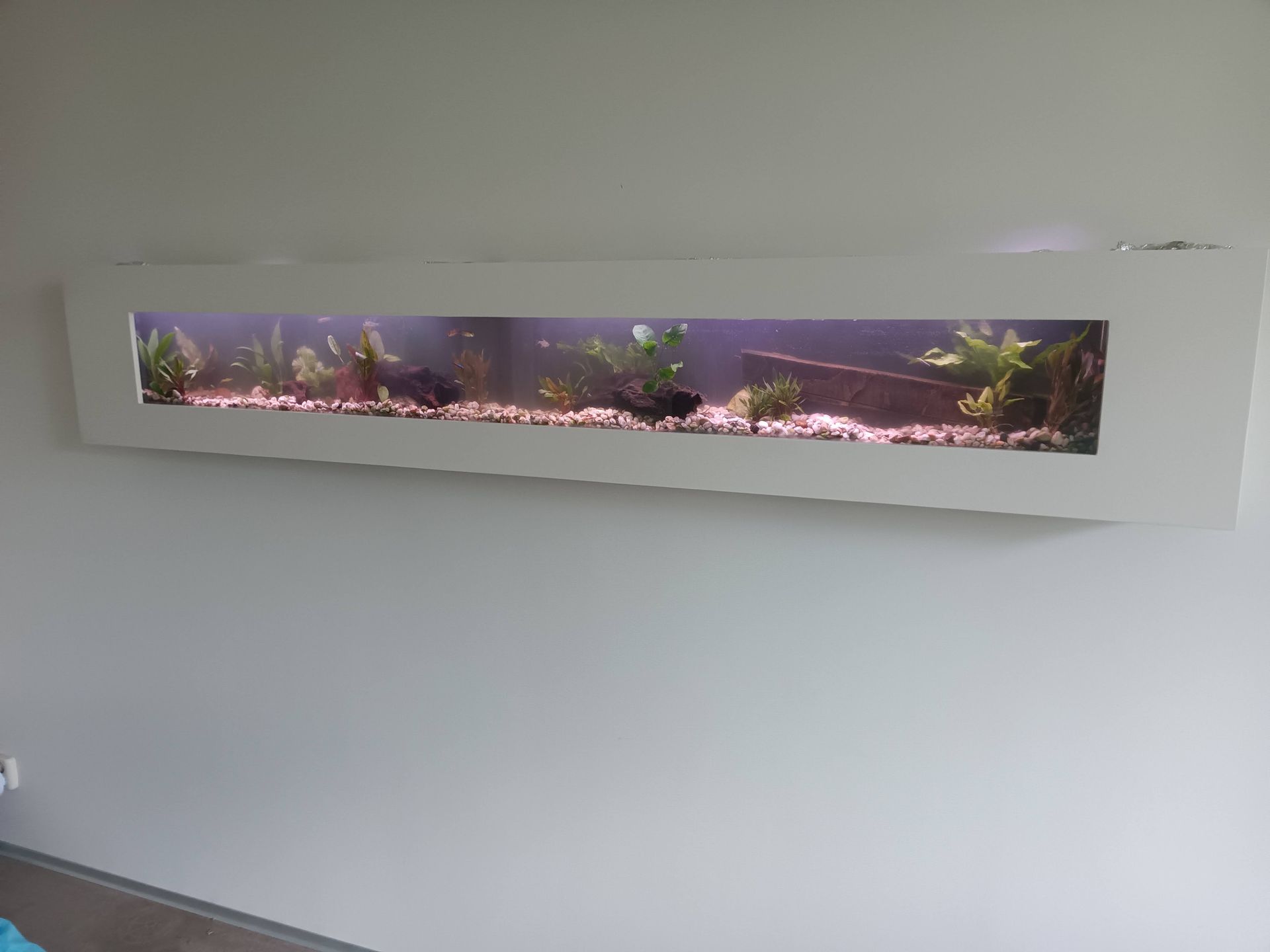 Aquarium op kantoor laten onderhouden