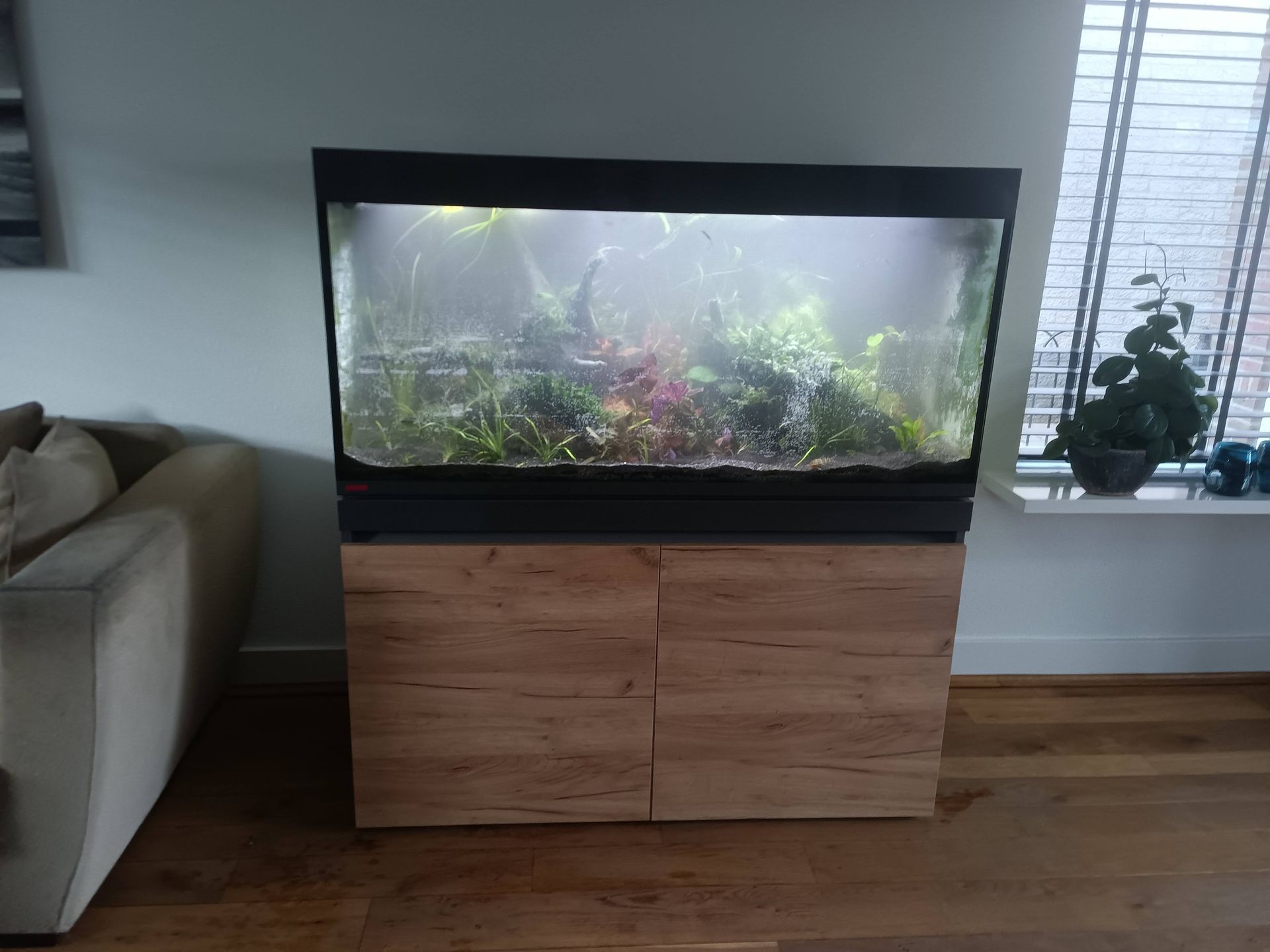 Aquarium laten herinrichten