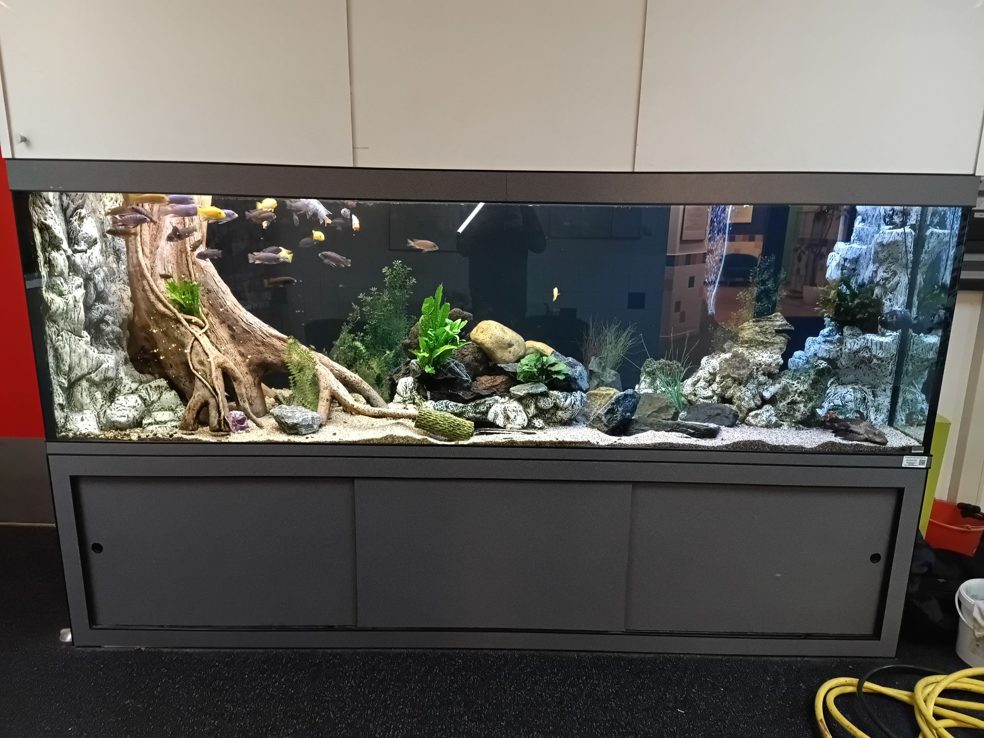 Groot aquarium laten onderhouden