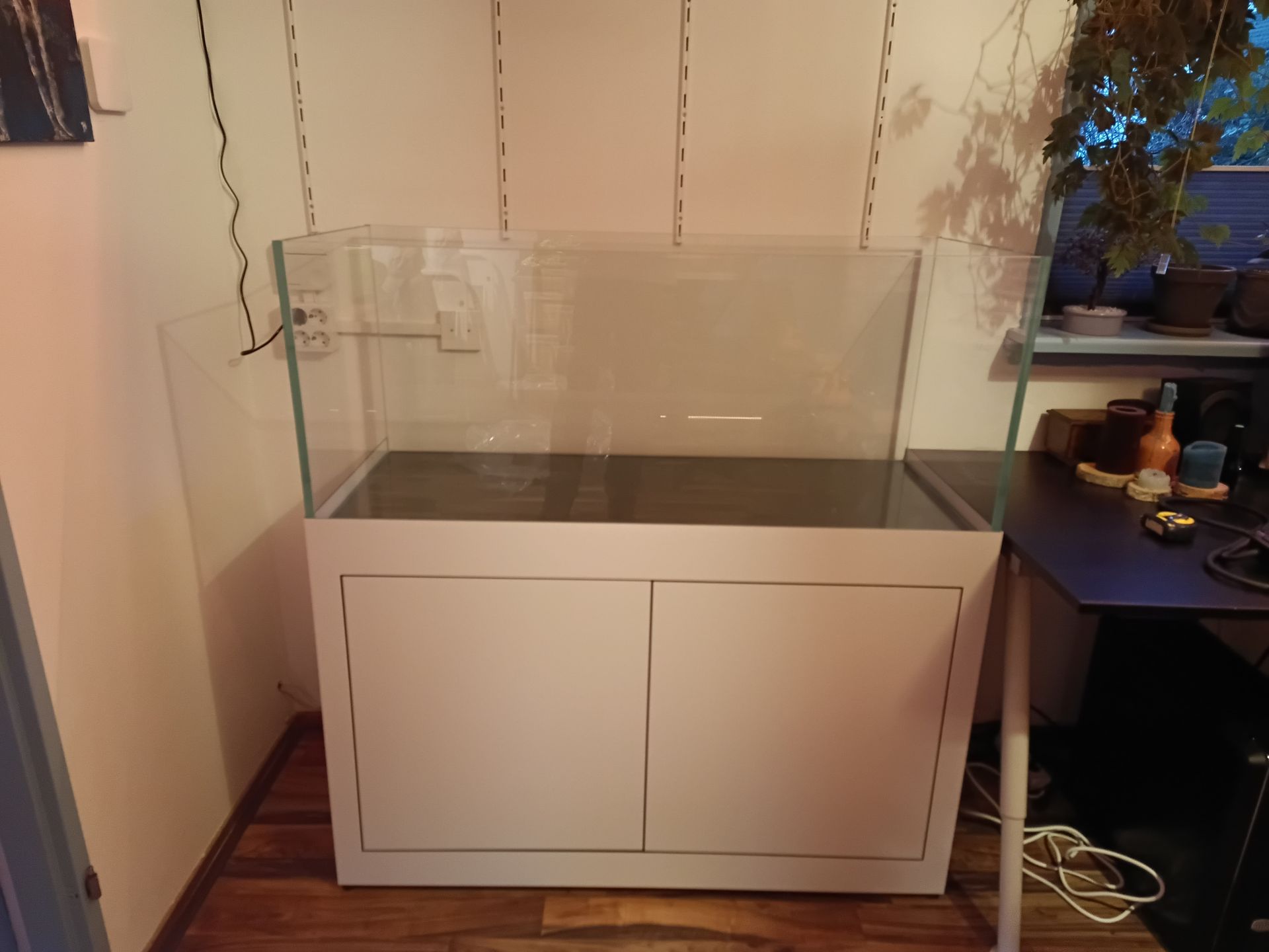 Rimless aquarium op maat aquascape