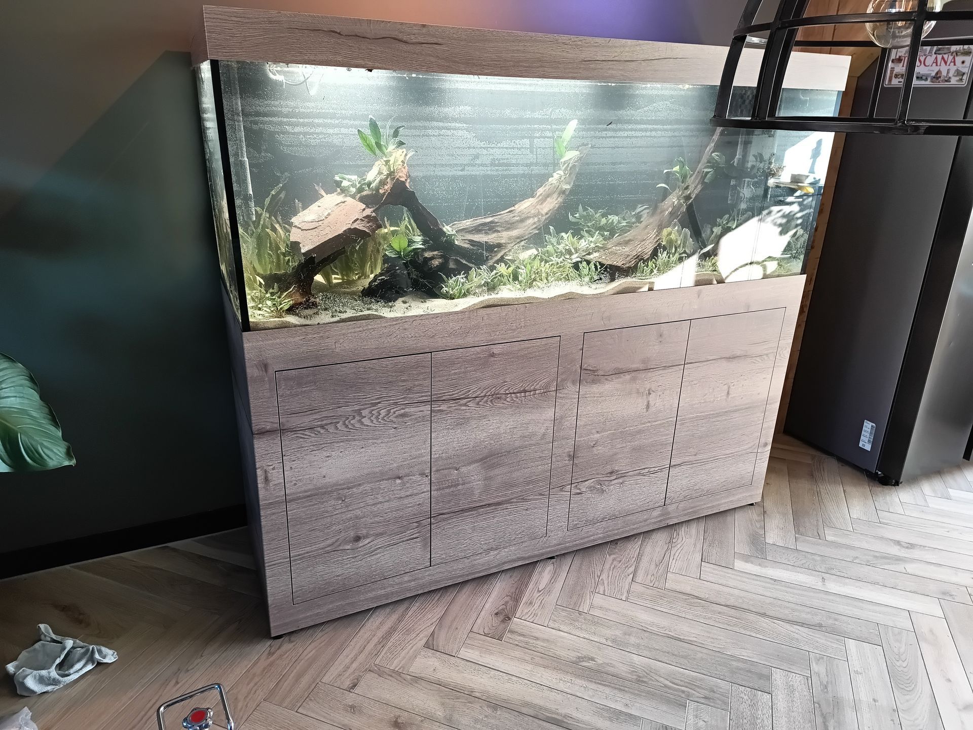 Aquarium compleet laten verhuizen