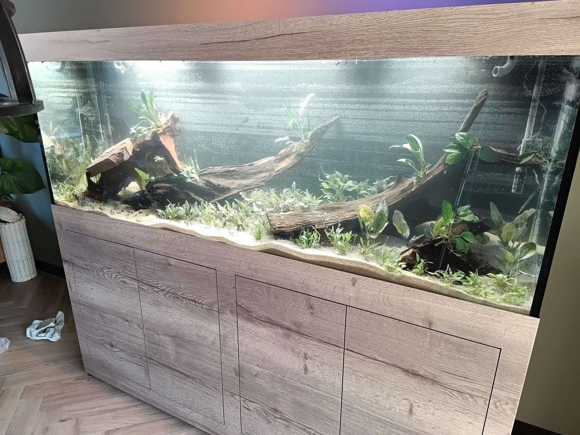 Aquarium verhuisbedrijf