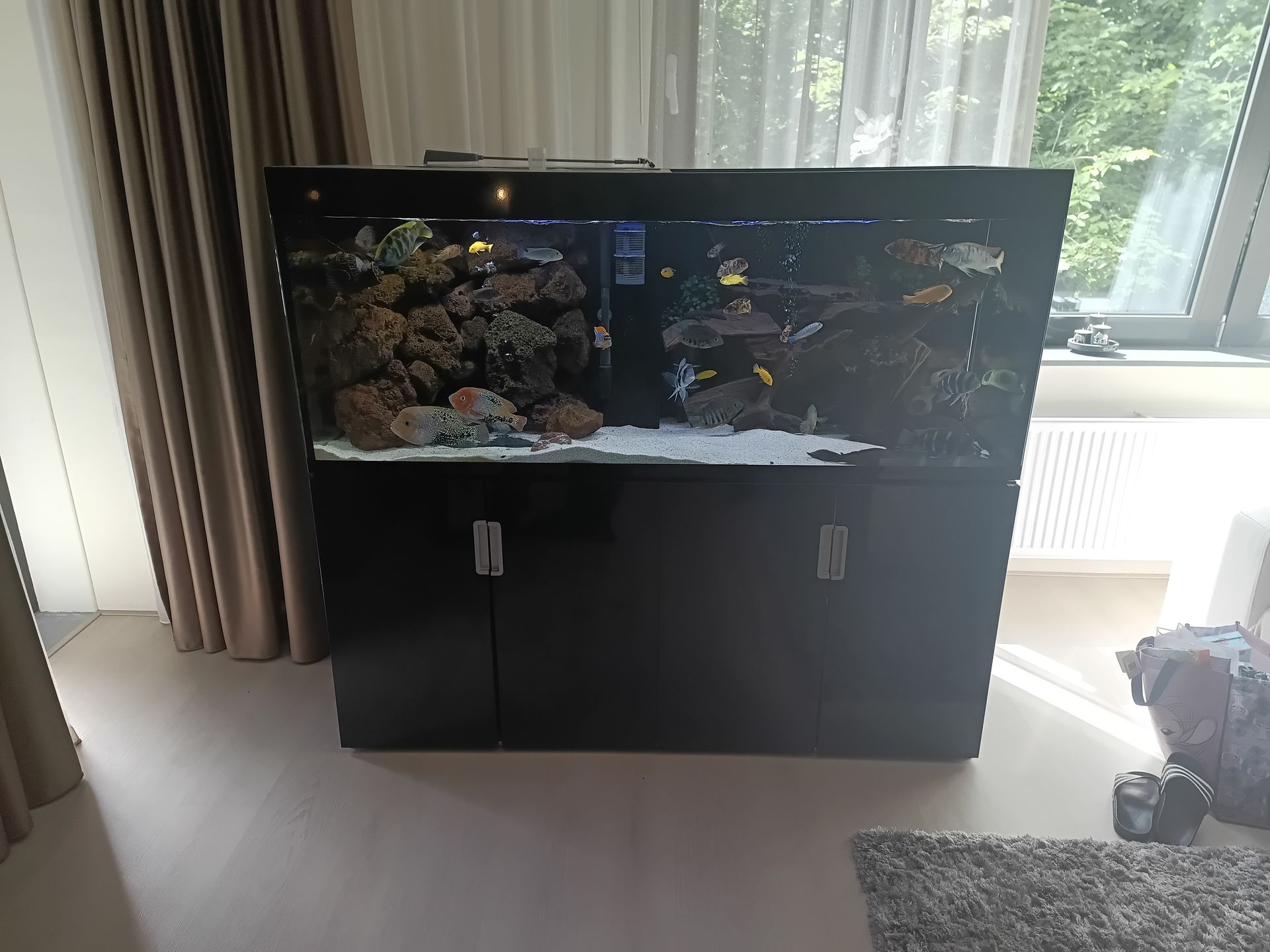 Aquarium advies op maat en locatie