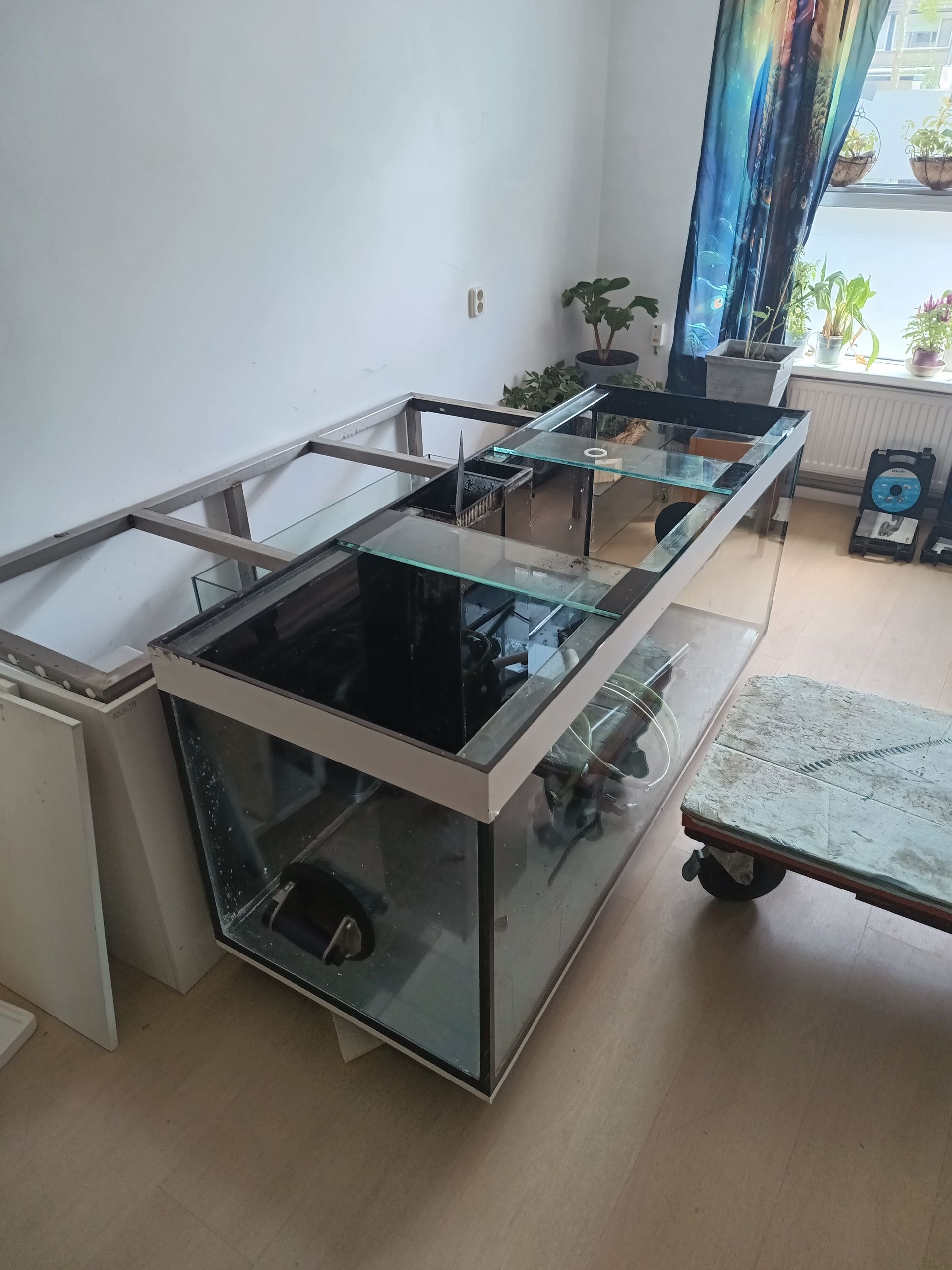 Zwaar aquarium laten verhuizen