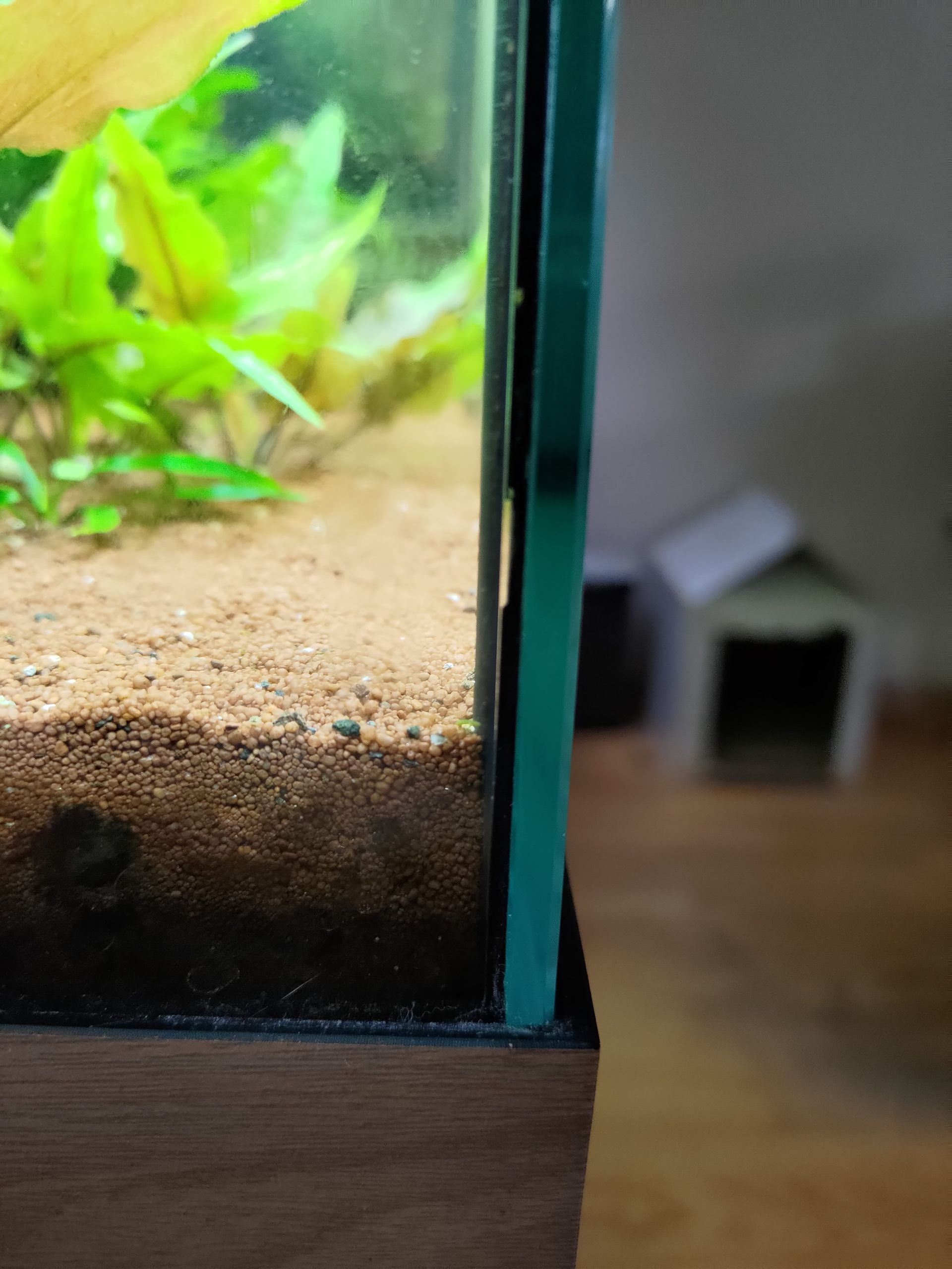 Kitnaad Juwel aquarium laten maken