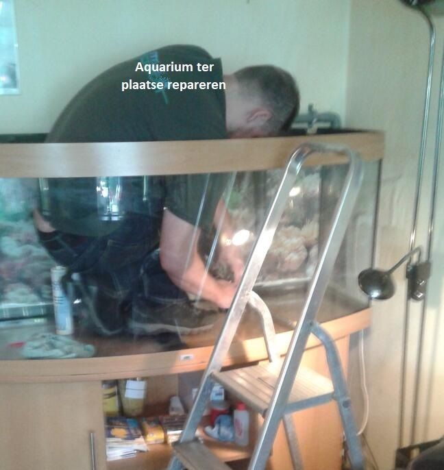 Man repareert aquarium, leunt naar binnen met ladder. Locatie: woonkamer.