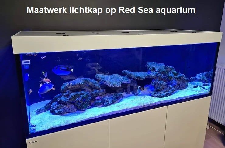 Lichtkap op maat voor Red Sea aquarium