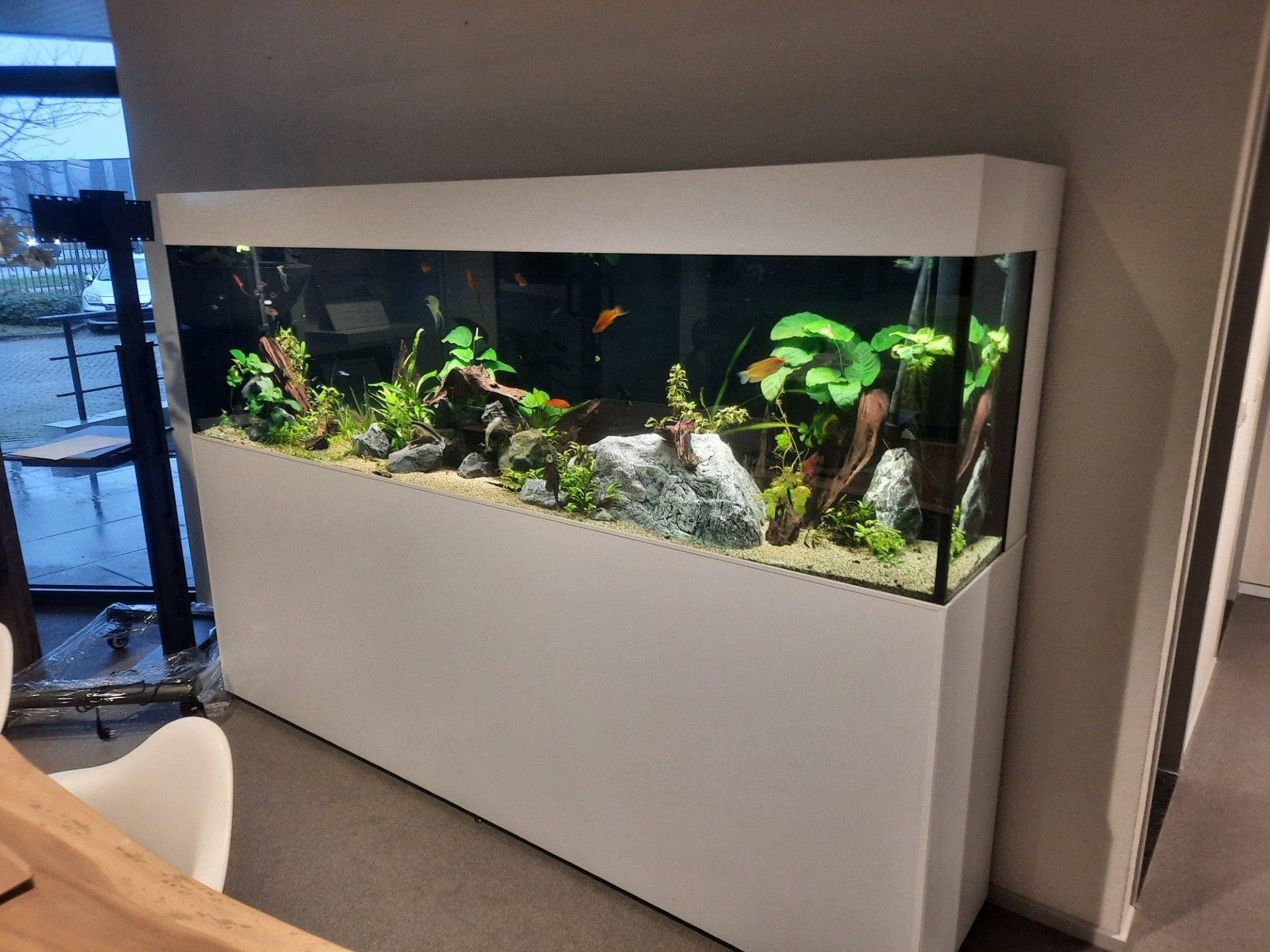 Aquarium opnieuw laten inrichten professioneel