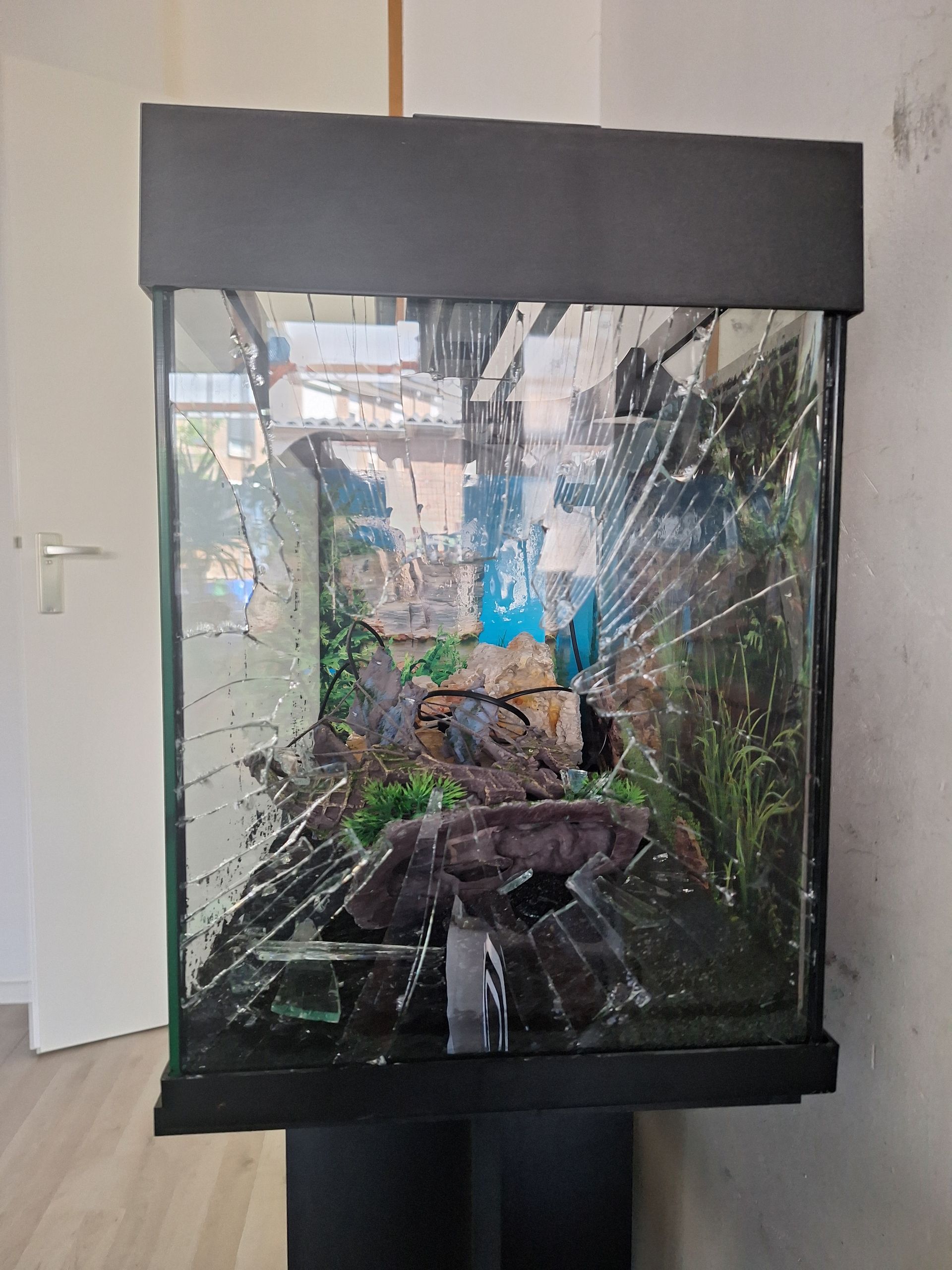 aquariumglas gebroken