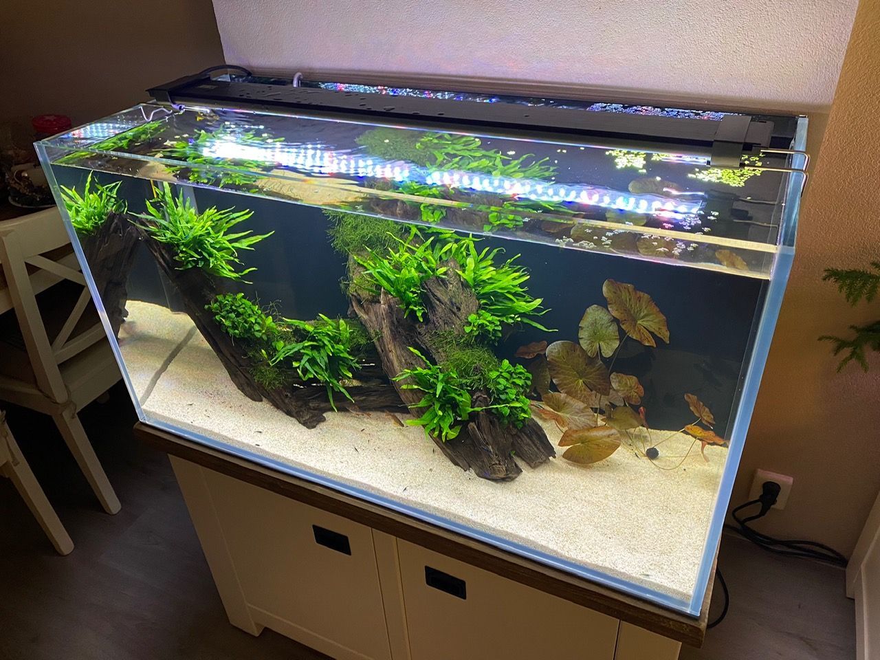 Optic white maatwerk aquarium