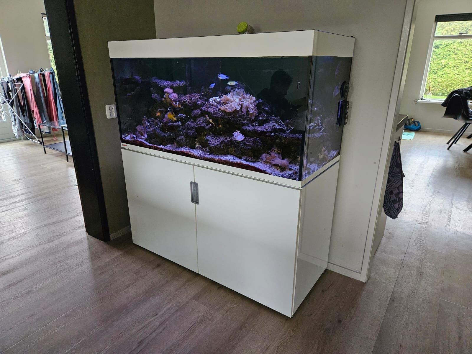 Aquarium zeewater laten verhuizen