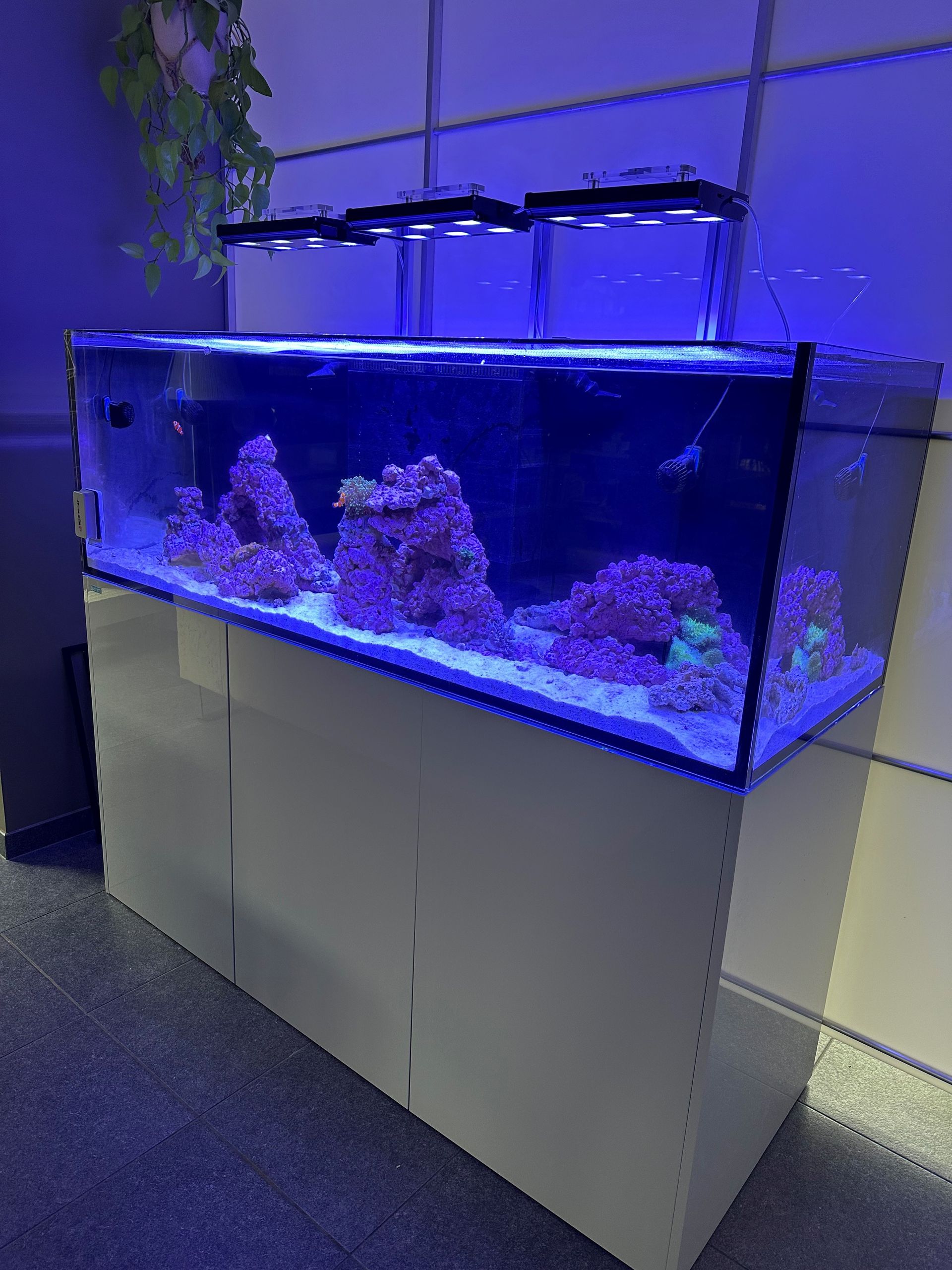 zoutwater aquarium laten bezorgen