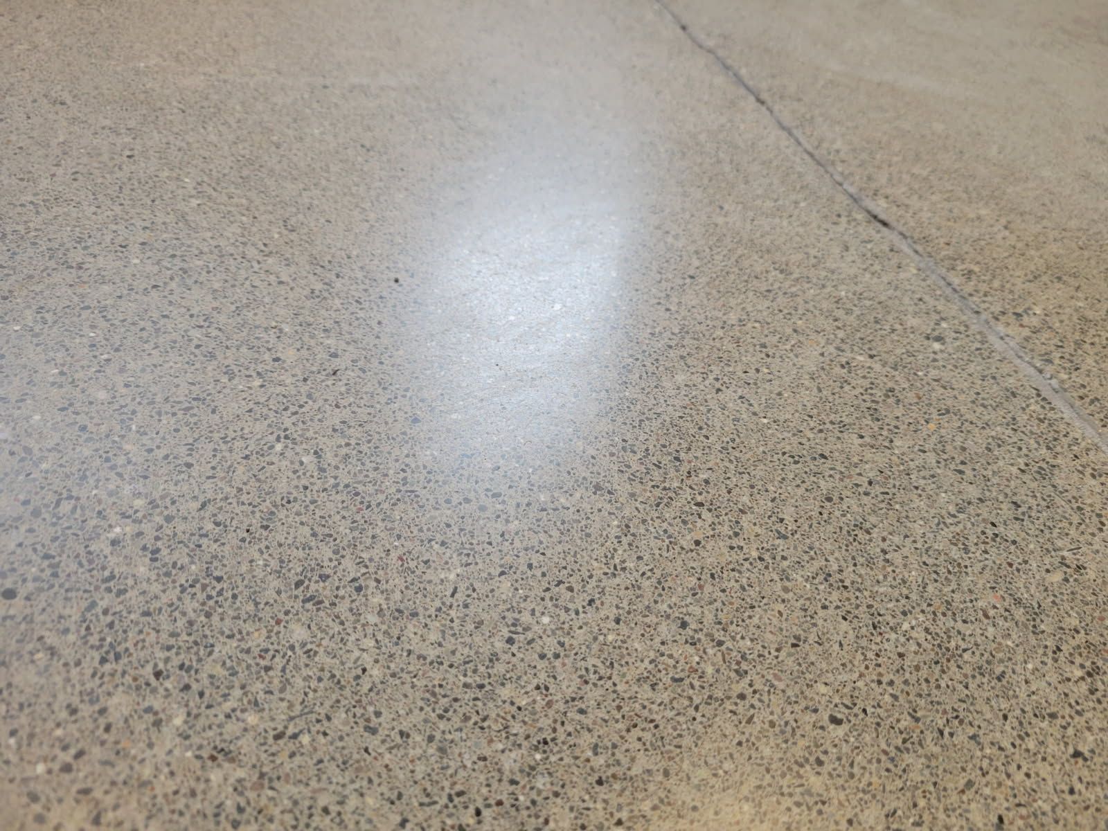 Garage with a polished, speckled gray floor. White walls, a white door, and various items in the background.