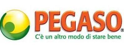 logo pegaso