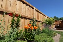 cedar fence installation Naperville Illinois