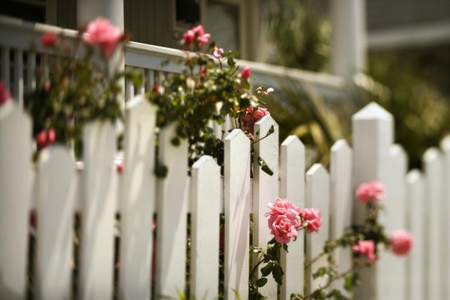 Westmont, Fencing Installation