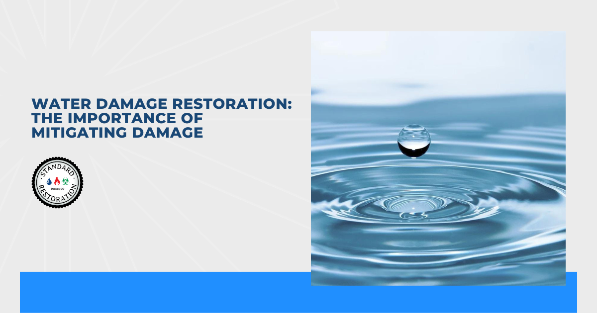 Water Damage Restoration: The Importance of Mitigating Damage